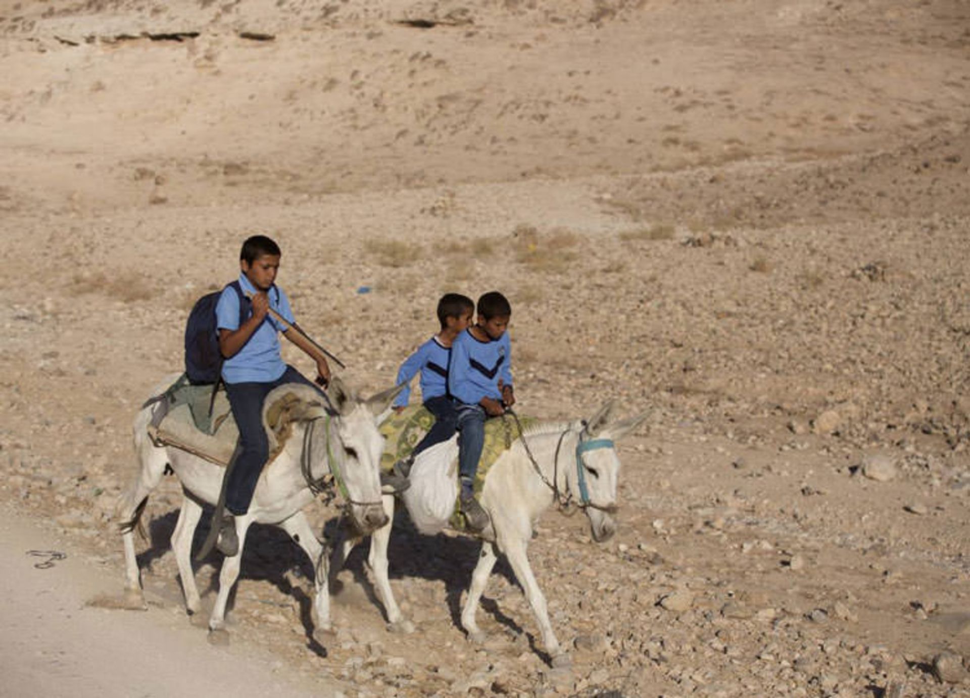 دانش آموز فلسطین