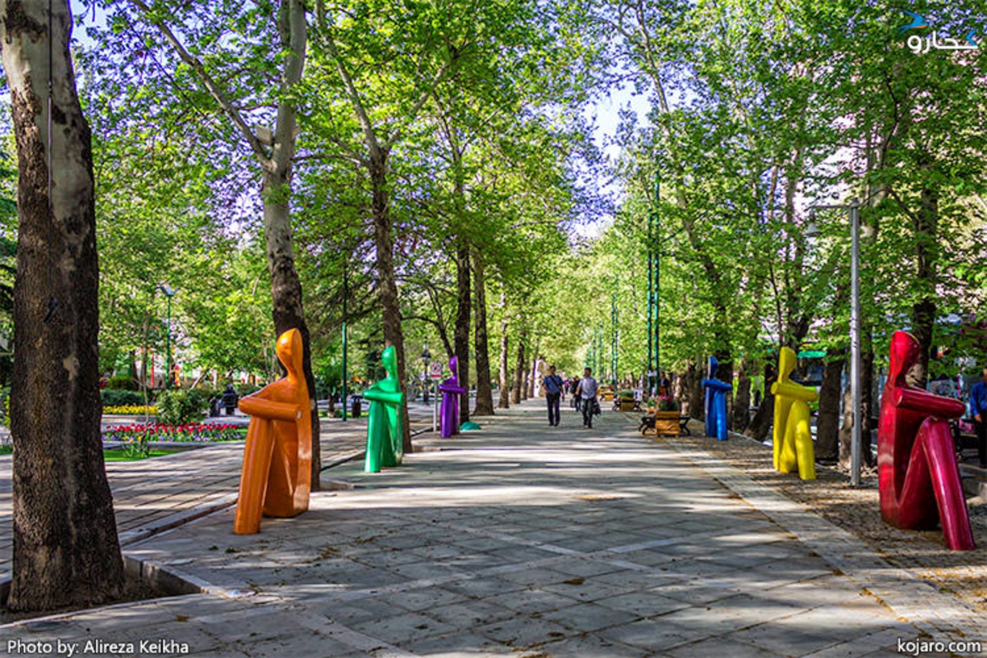 چنارهای خیابان ولیعصر