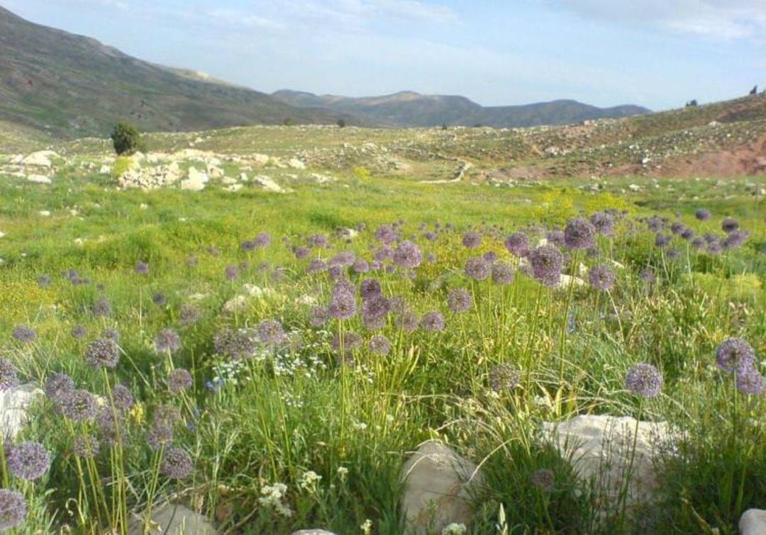 روستای خفر