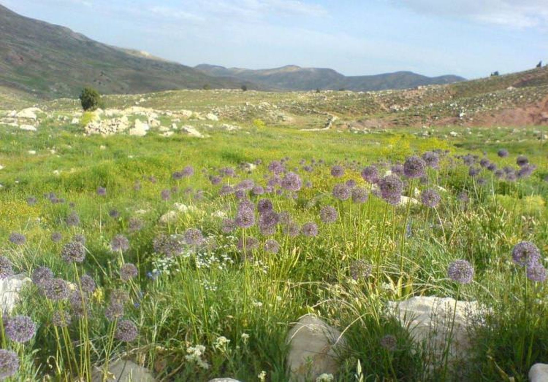 روستای خفر