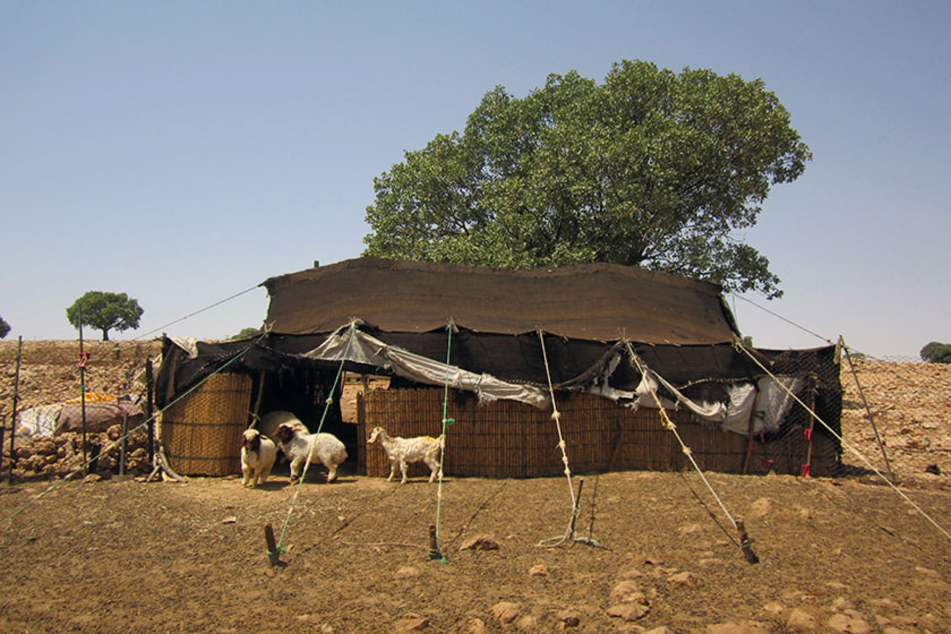 صنایع دستی بافتنی