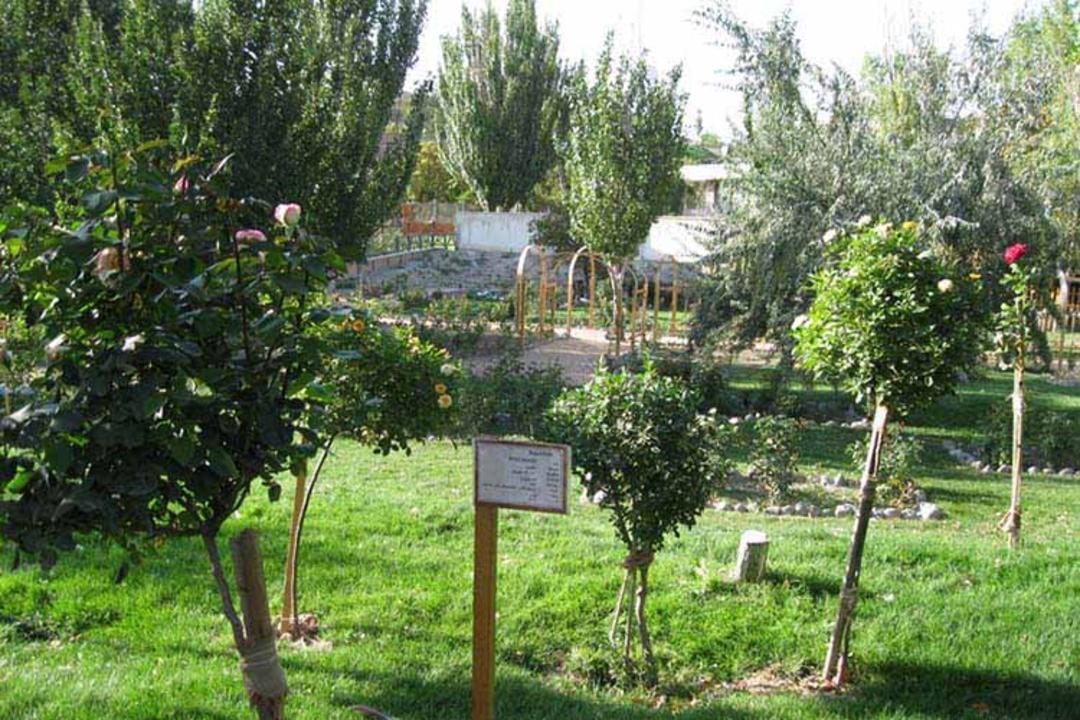 دانشگاه تبریز