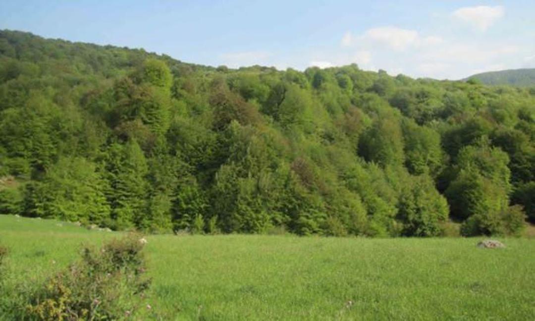روستای سیبن