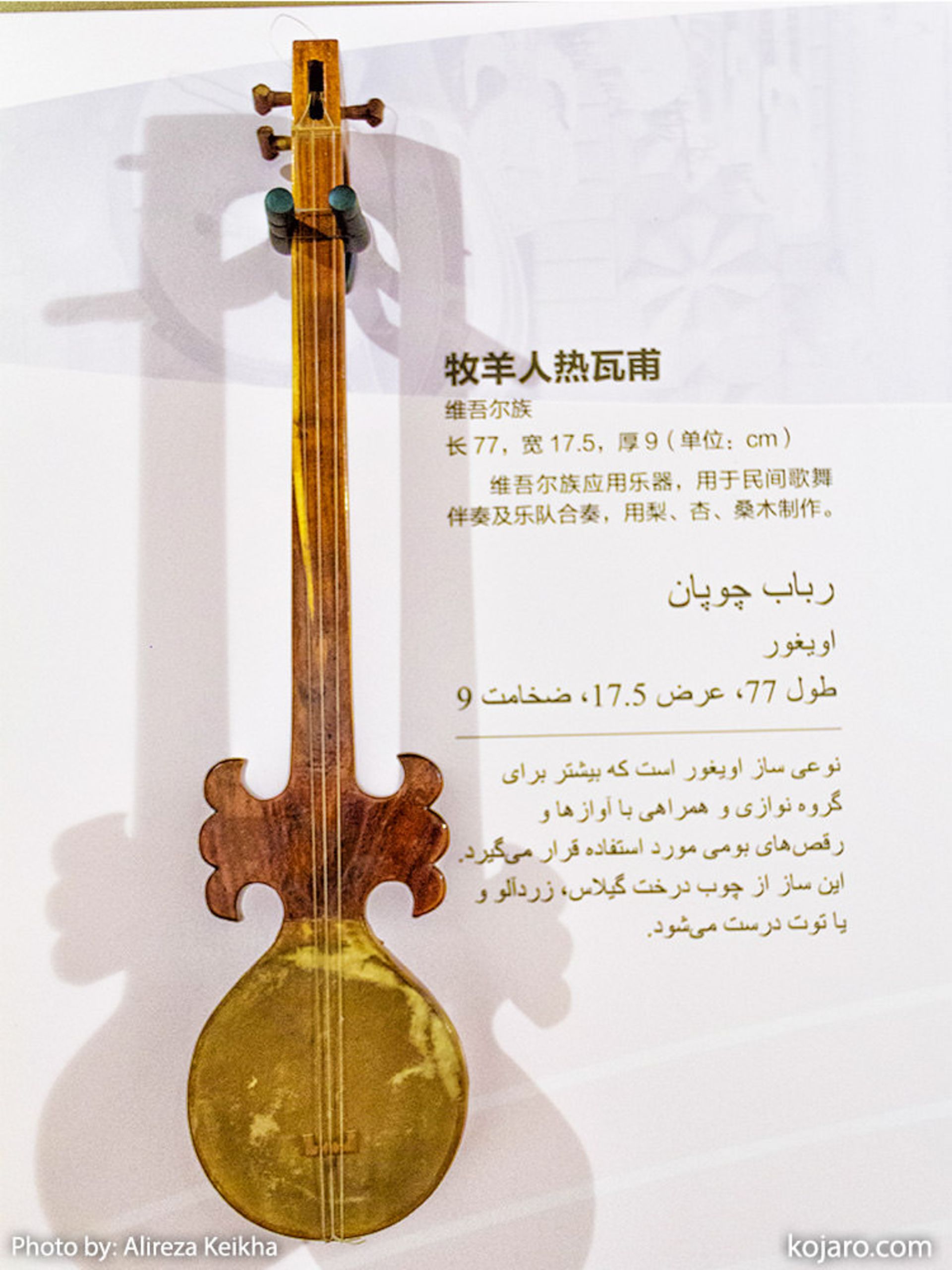 سازهای سنتی چین غربی