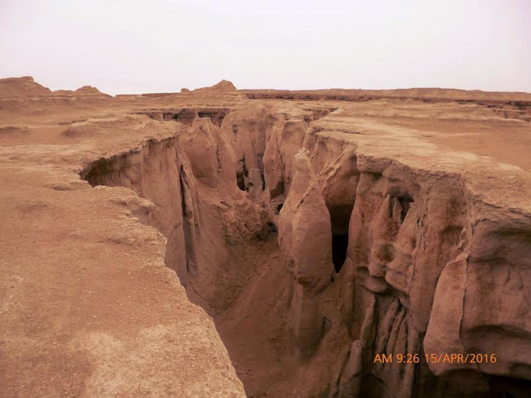 عکاسباشی