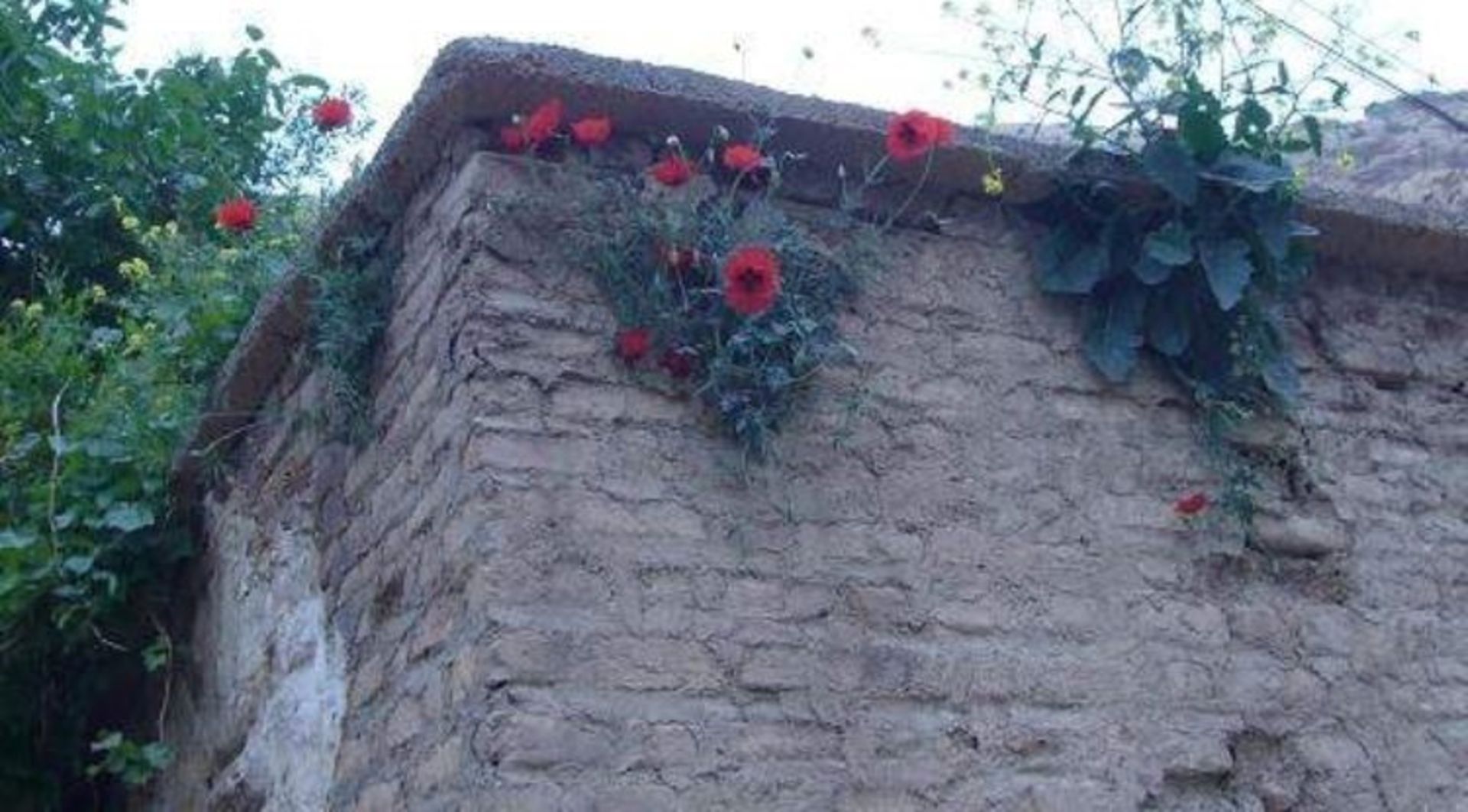 روستای شالان