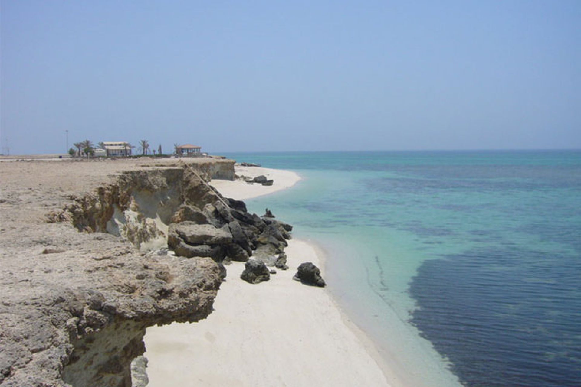 کیش