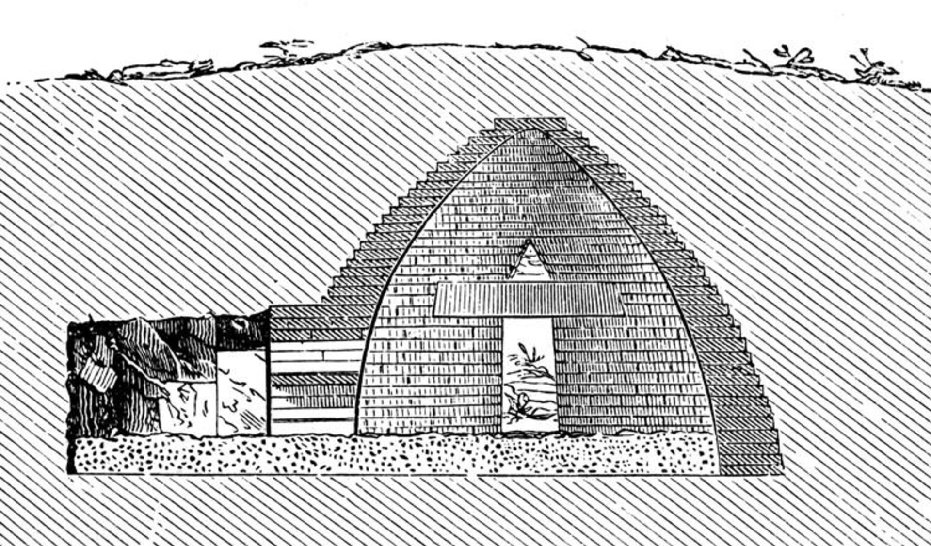 36