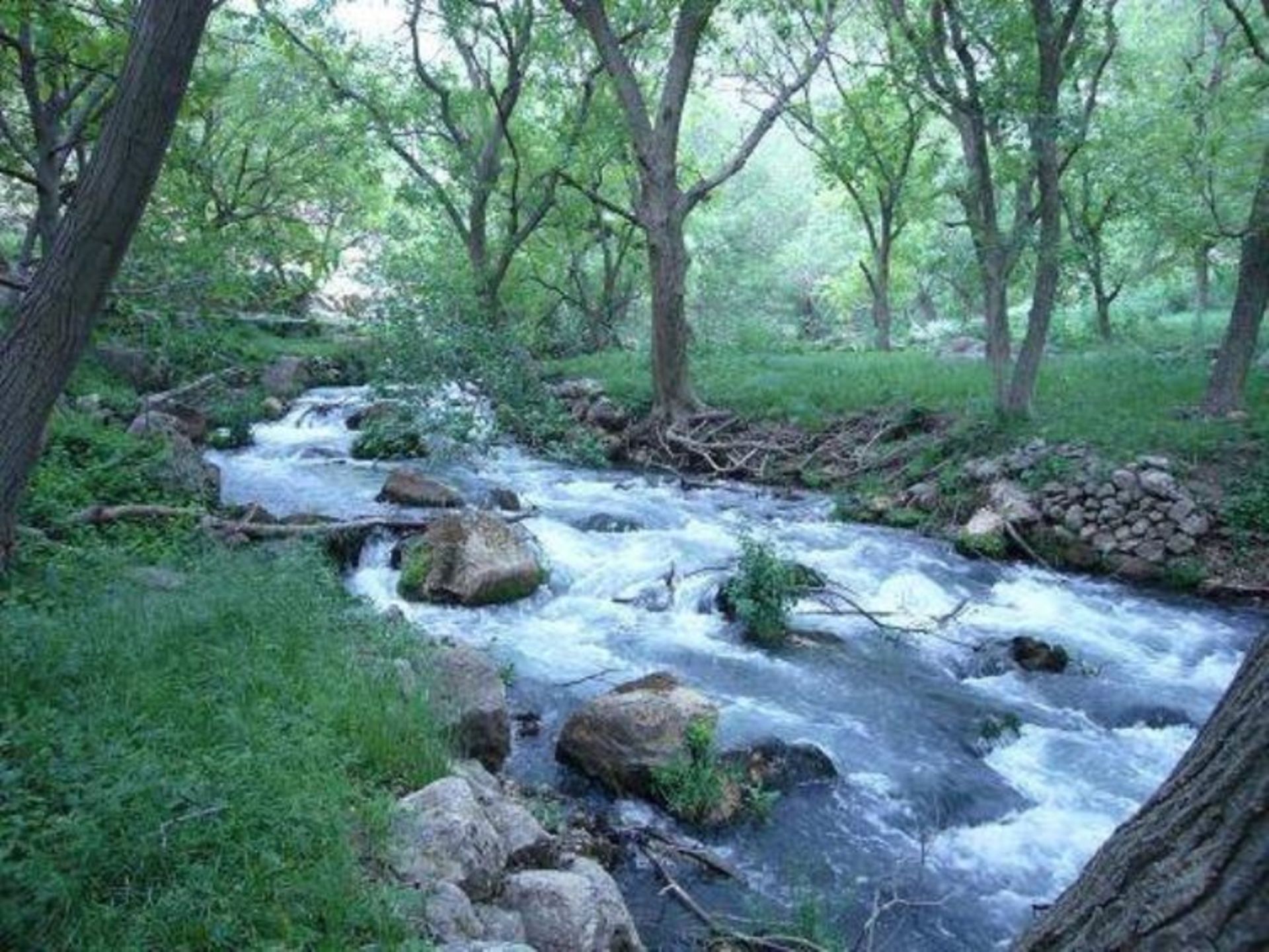 روستای شالان