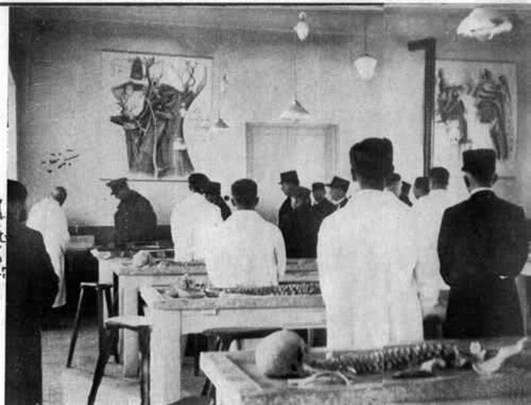 دانشگاه تهران 