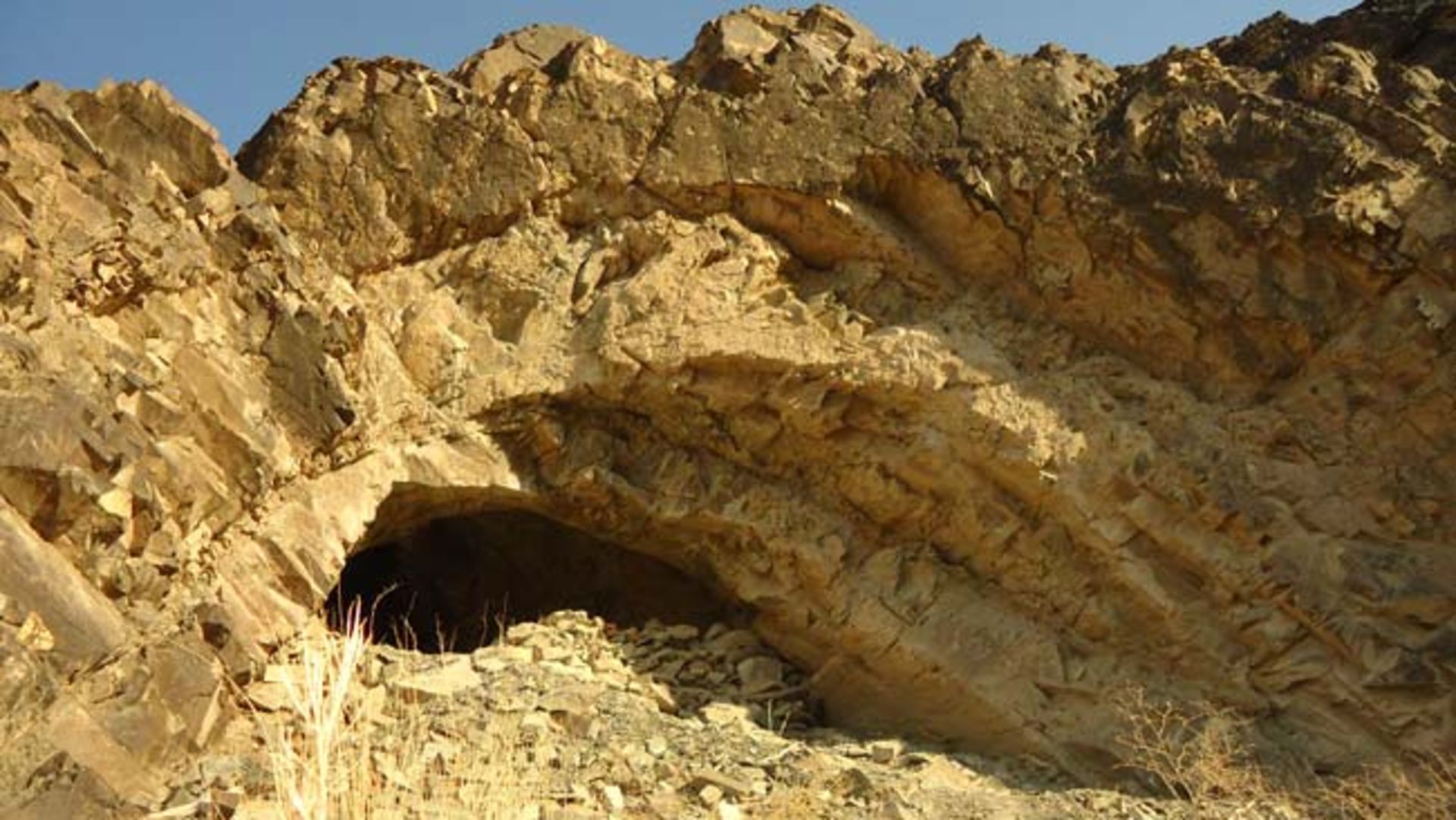 کودچ
