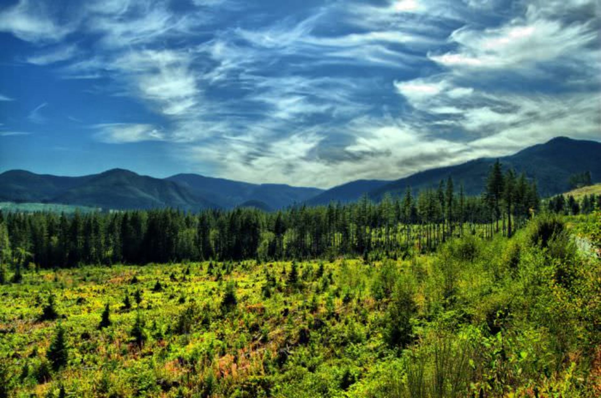 آمریکای شمالی