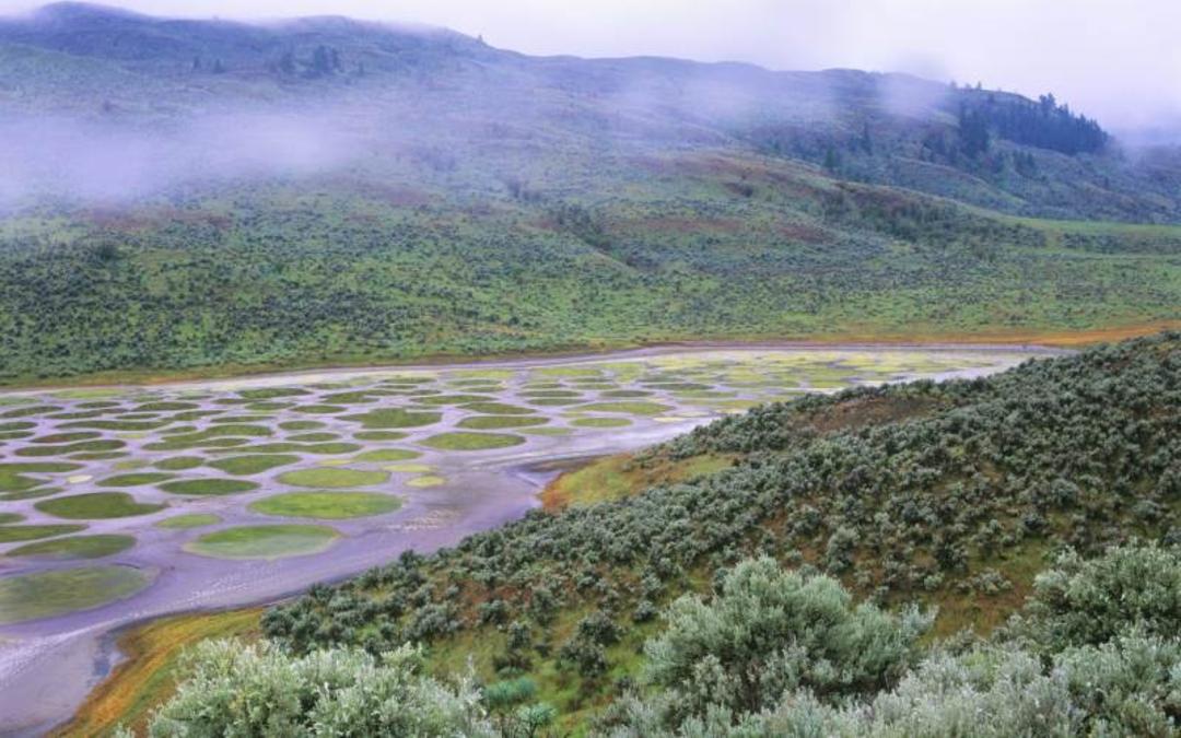 عجیب ترین جاذبه های گردشگری جهان