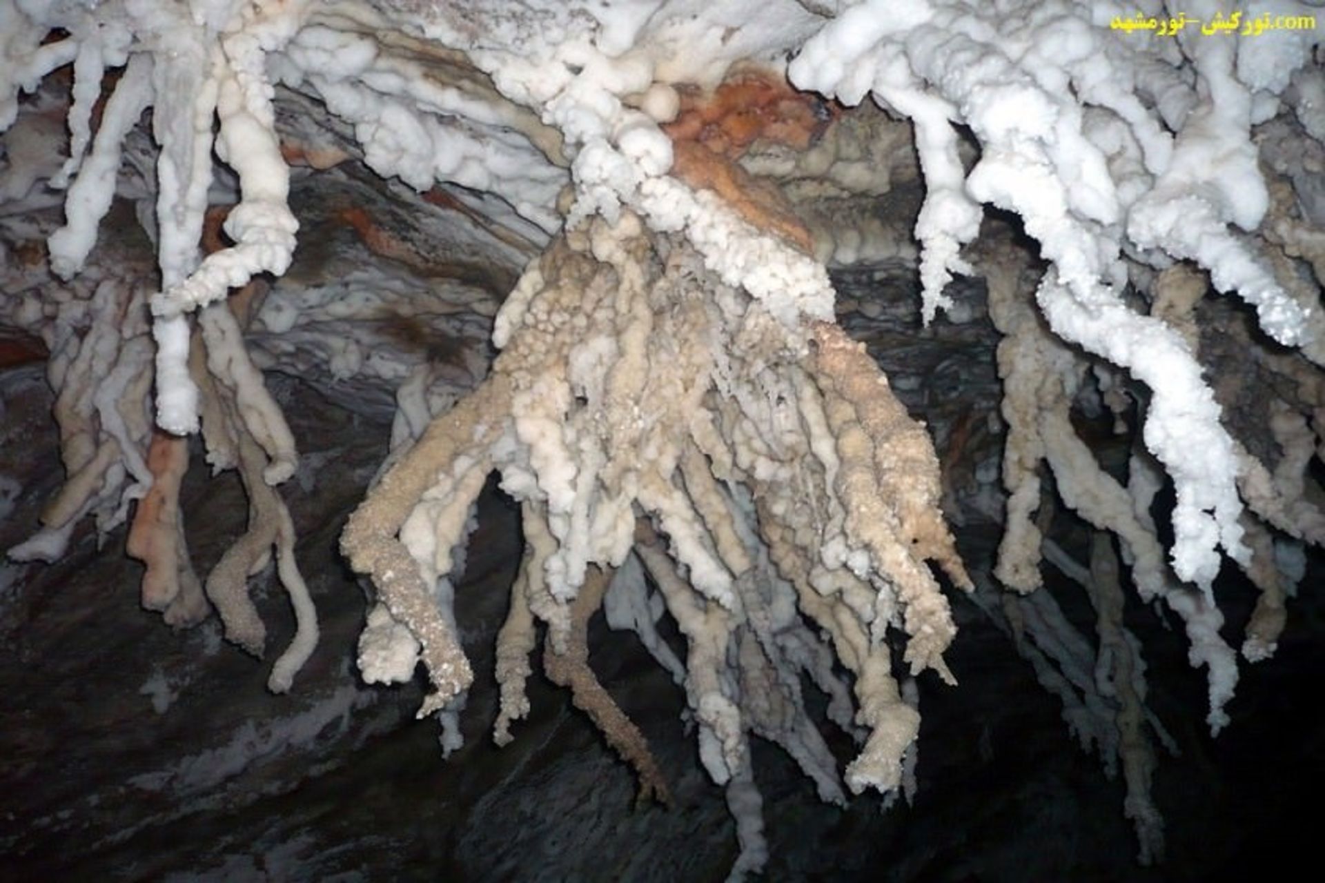 تور کیش-مشهد