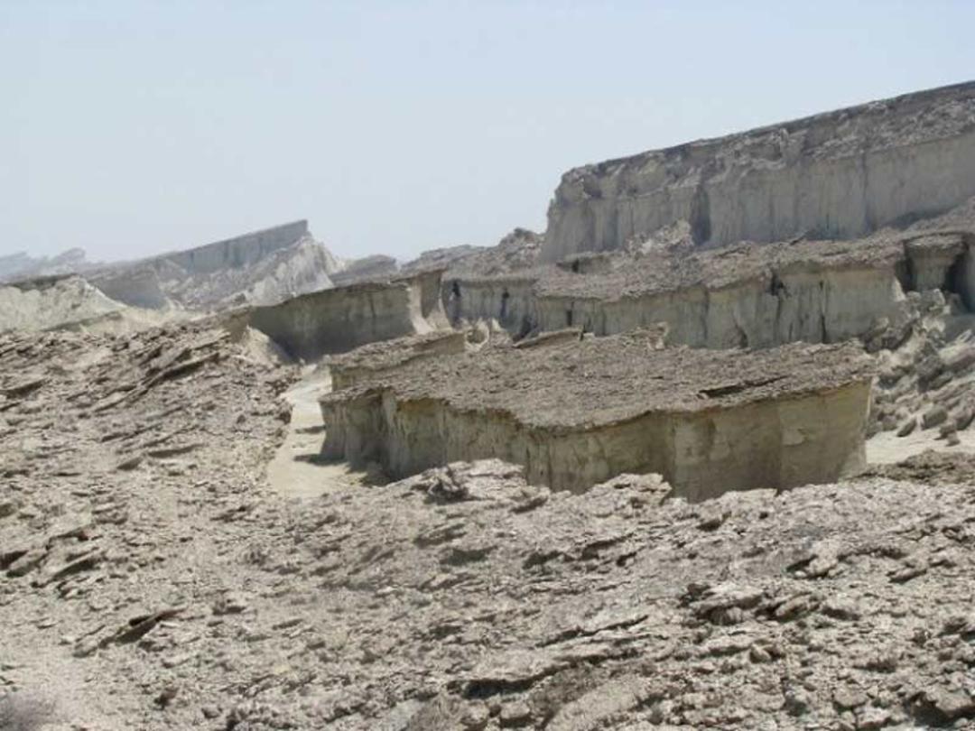کاسه سلخ قشم