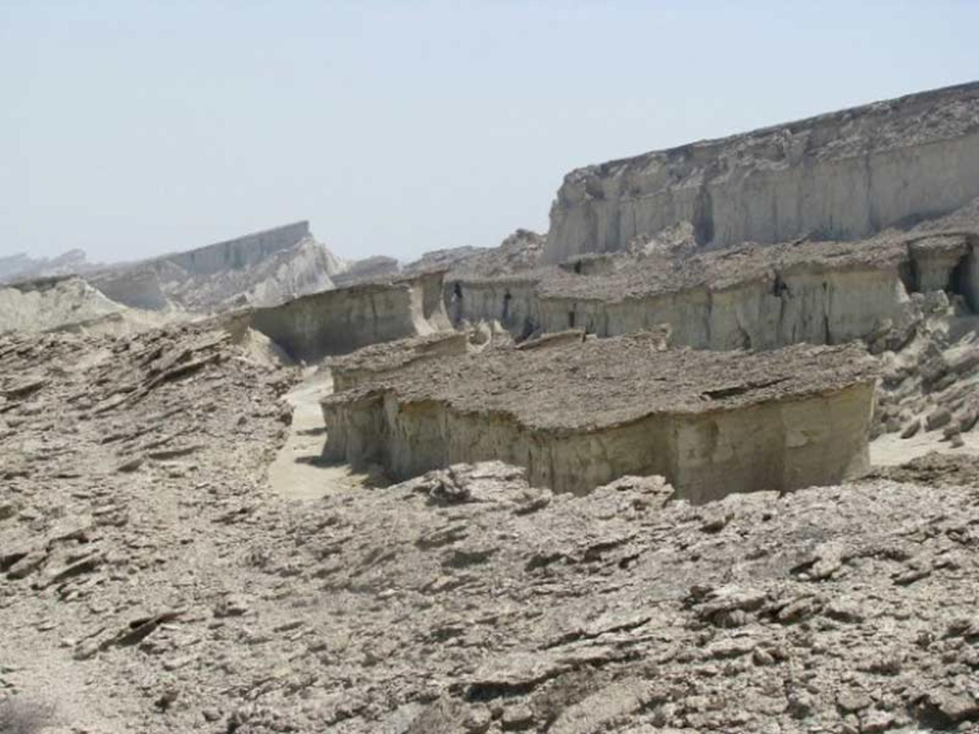 کاسه سلخ قشم