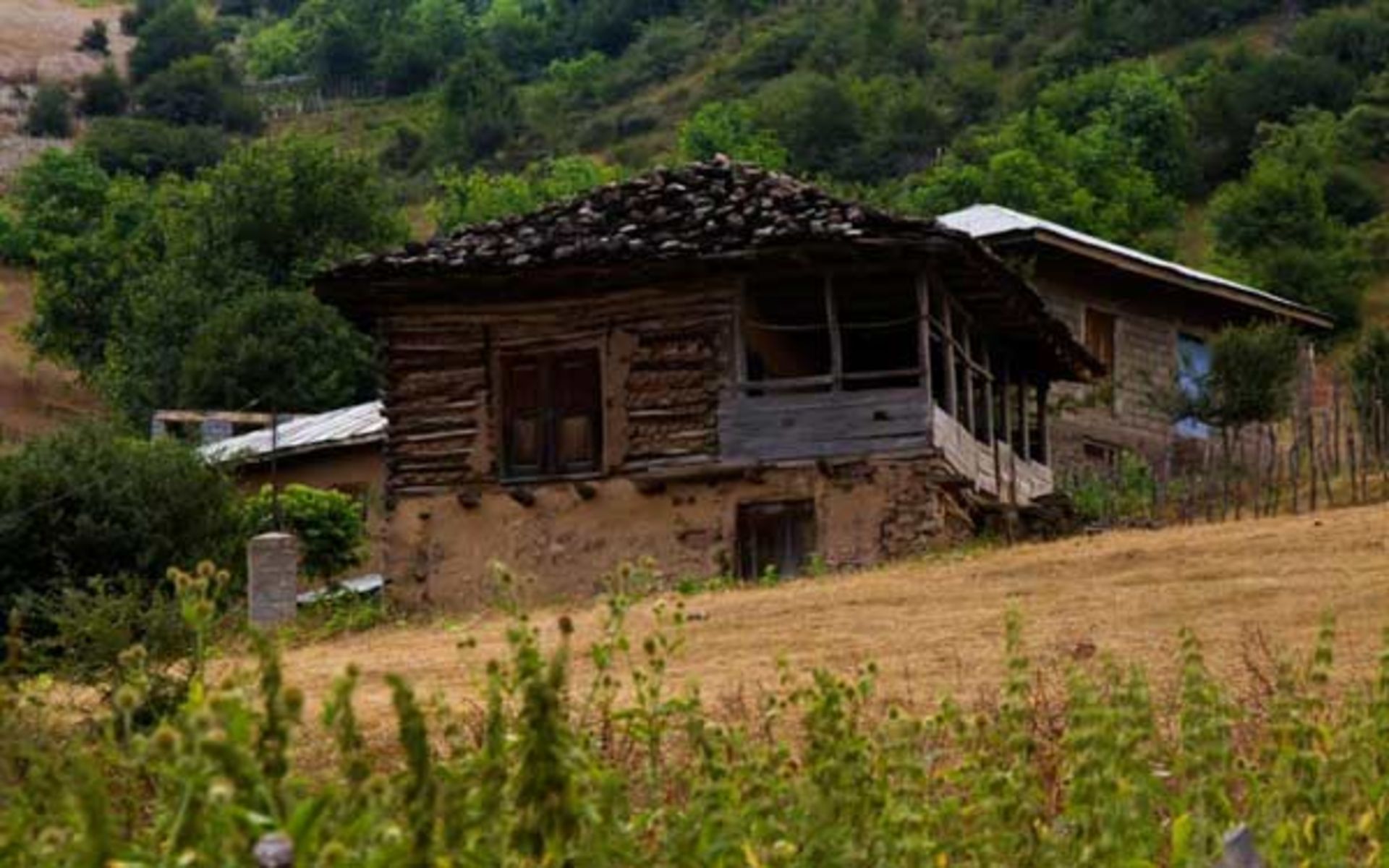 بوستان جنگلی صفارود