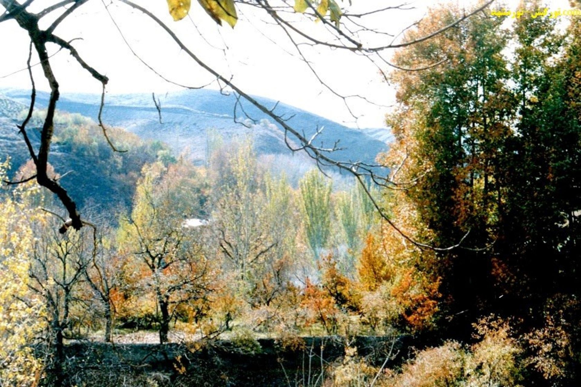 تور کیش-مشهد