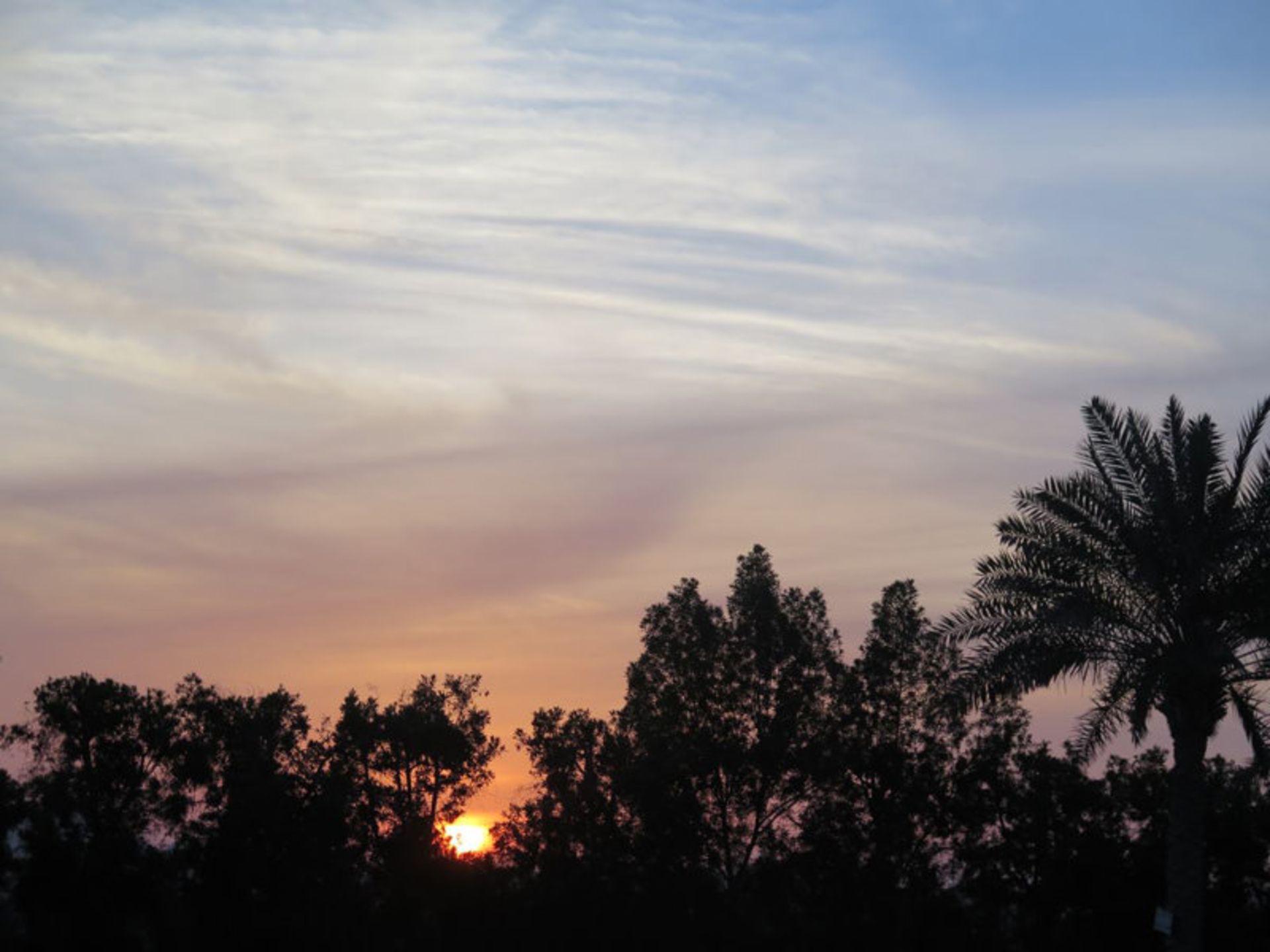 عکاسباشی