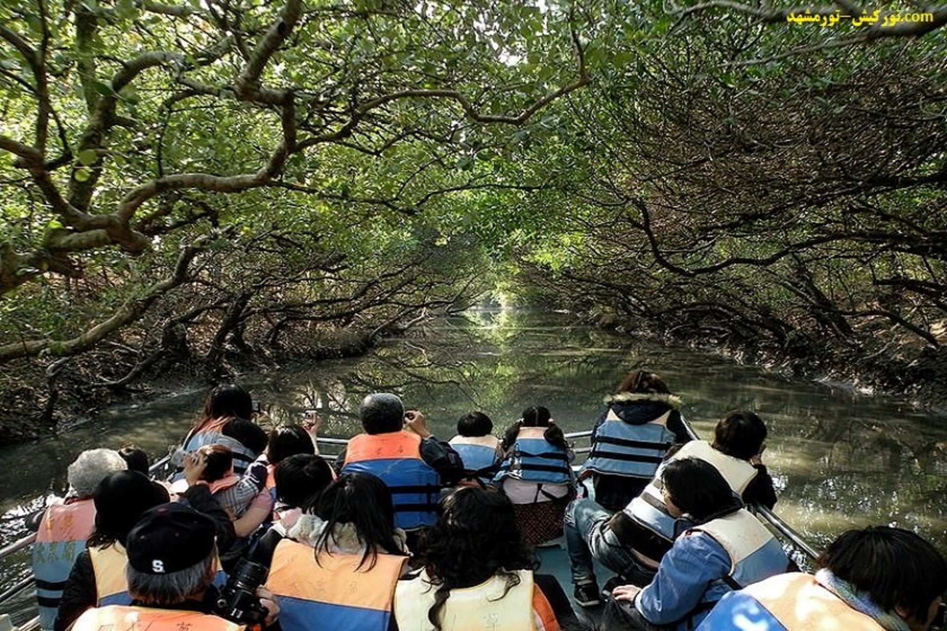 تور کیش-مشهد