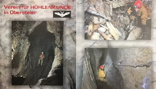 بورنیک
