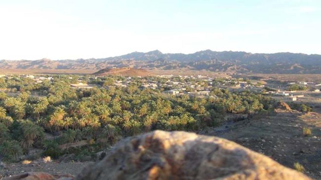 کودچ