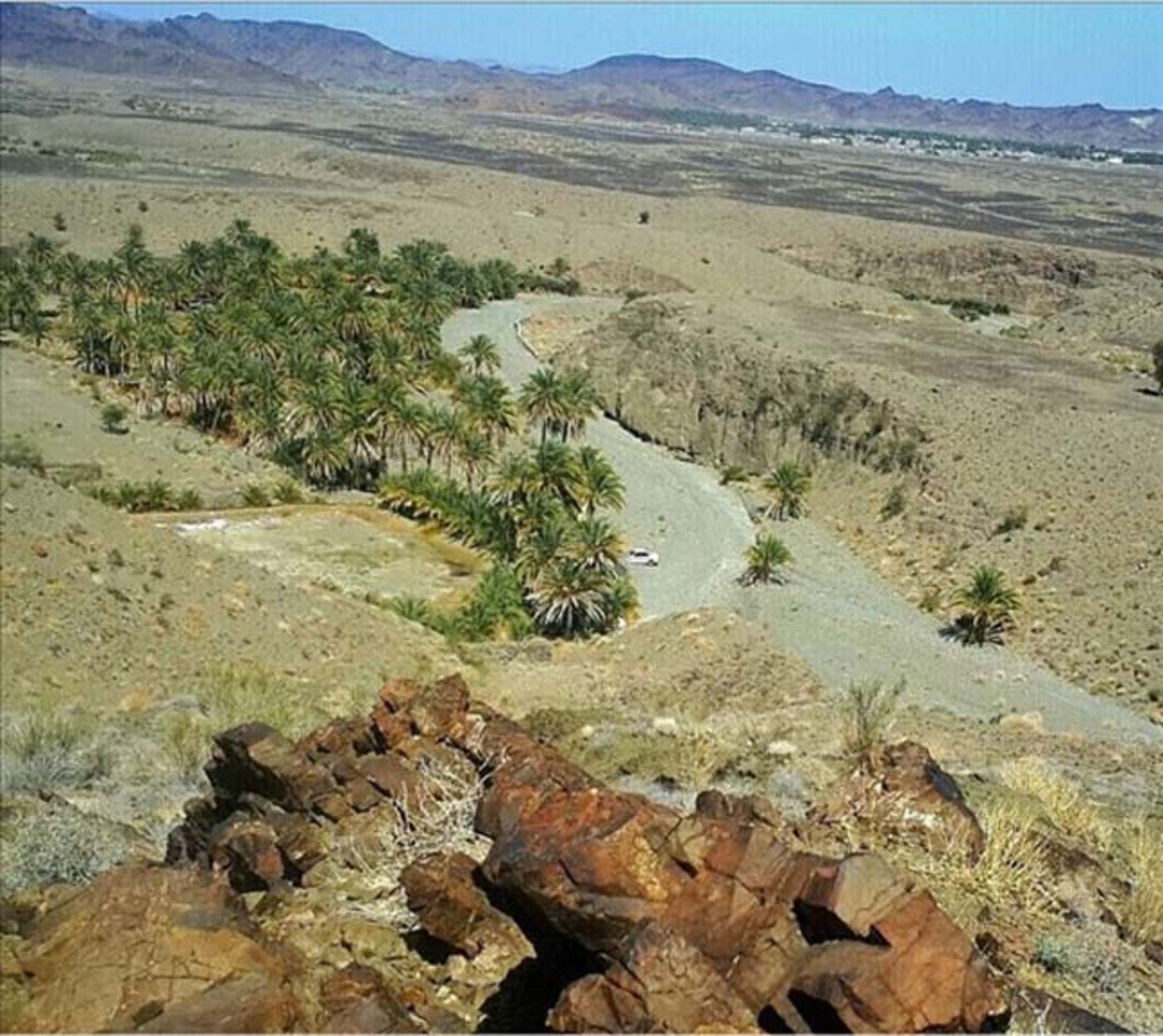 کودچ