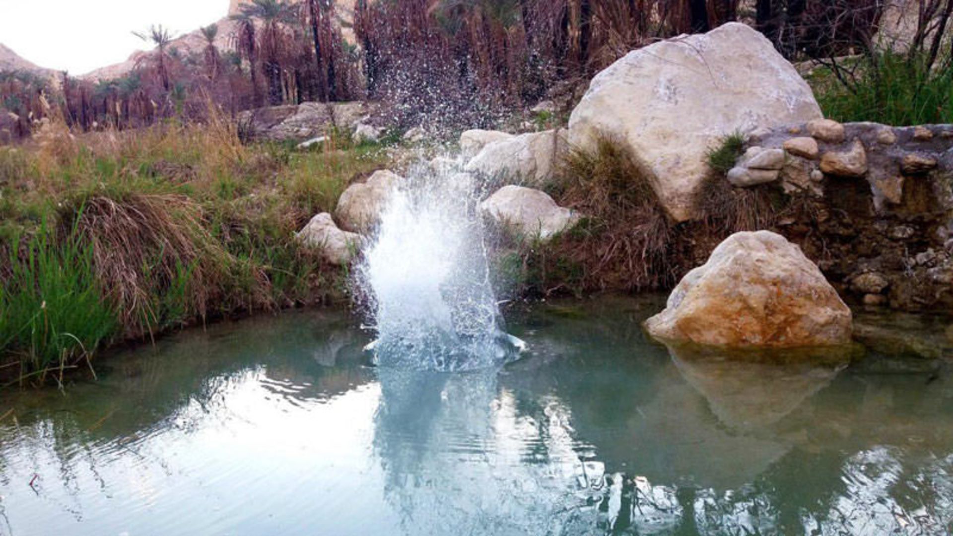 عکاسباشی