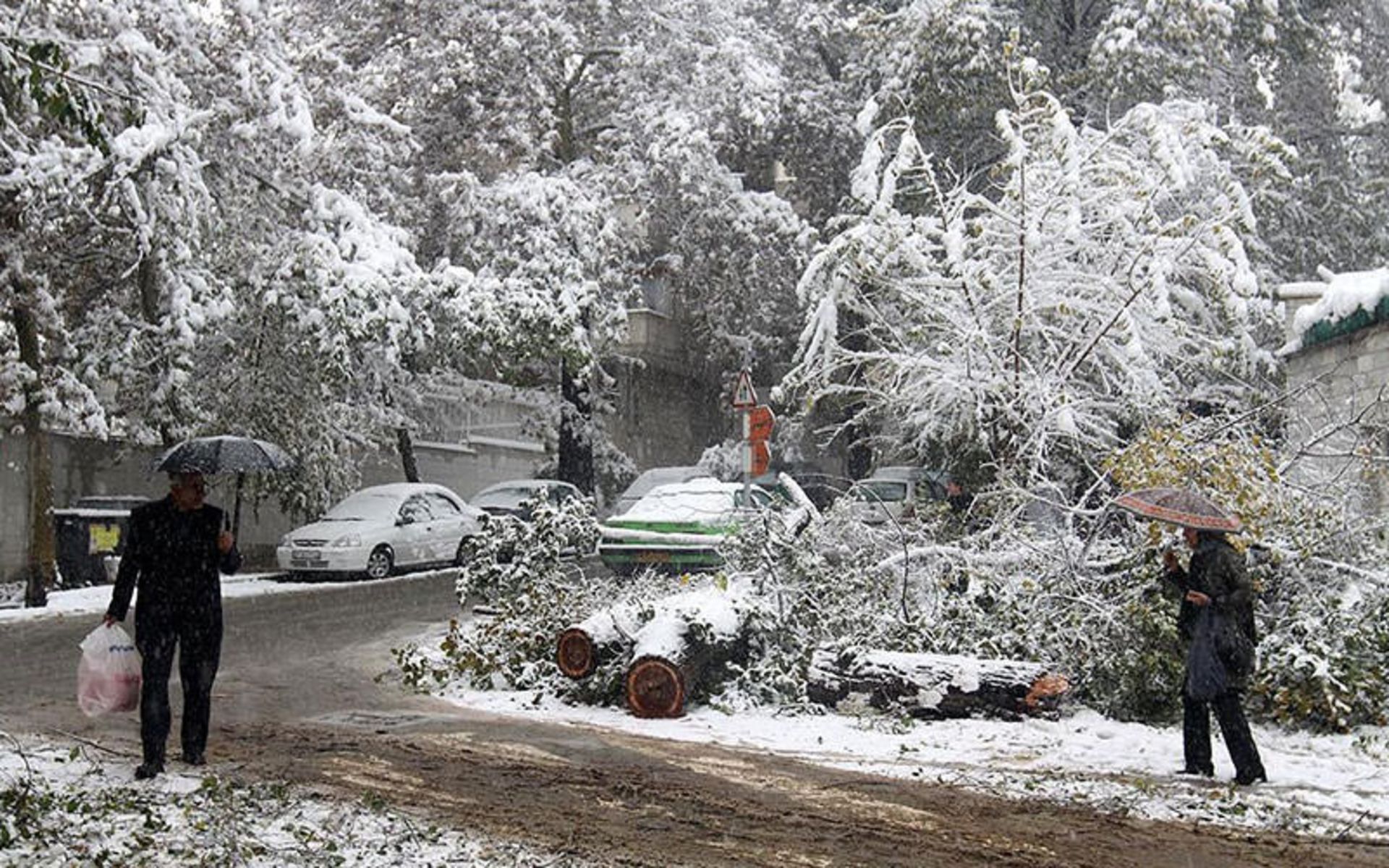 برف تهران