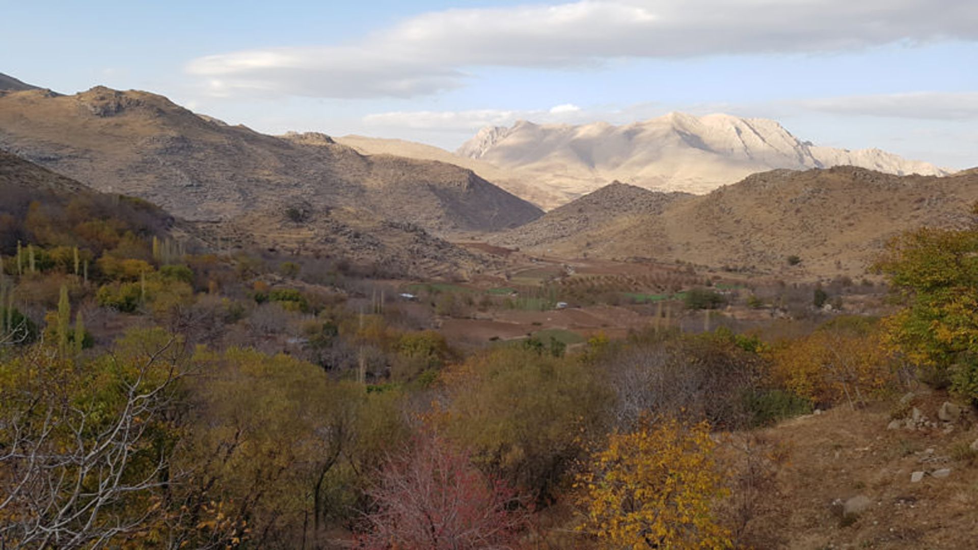 عکاسباشی