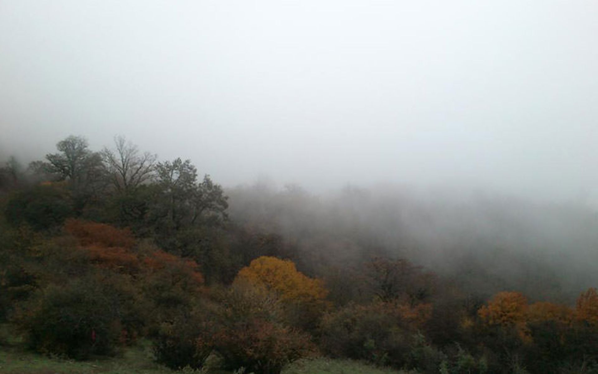 مازندران
