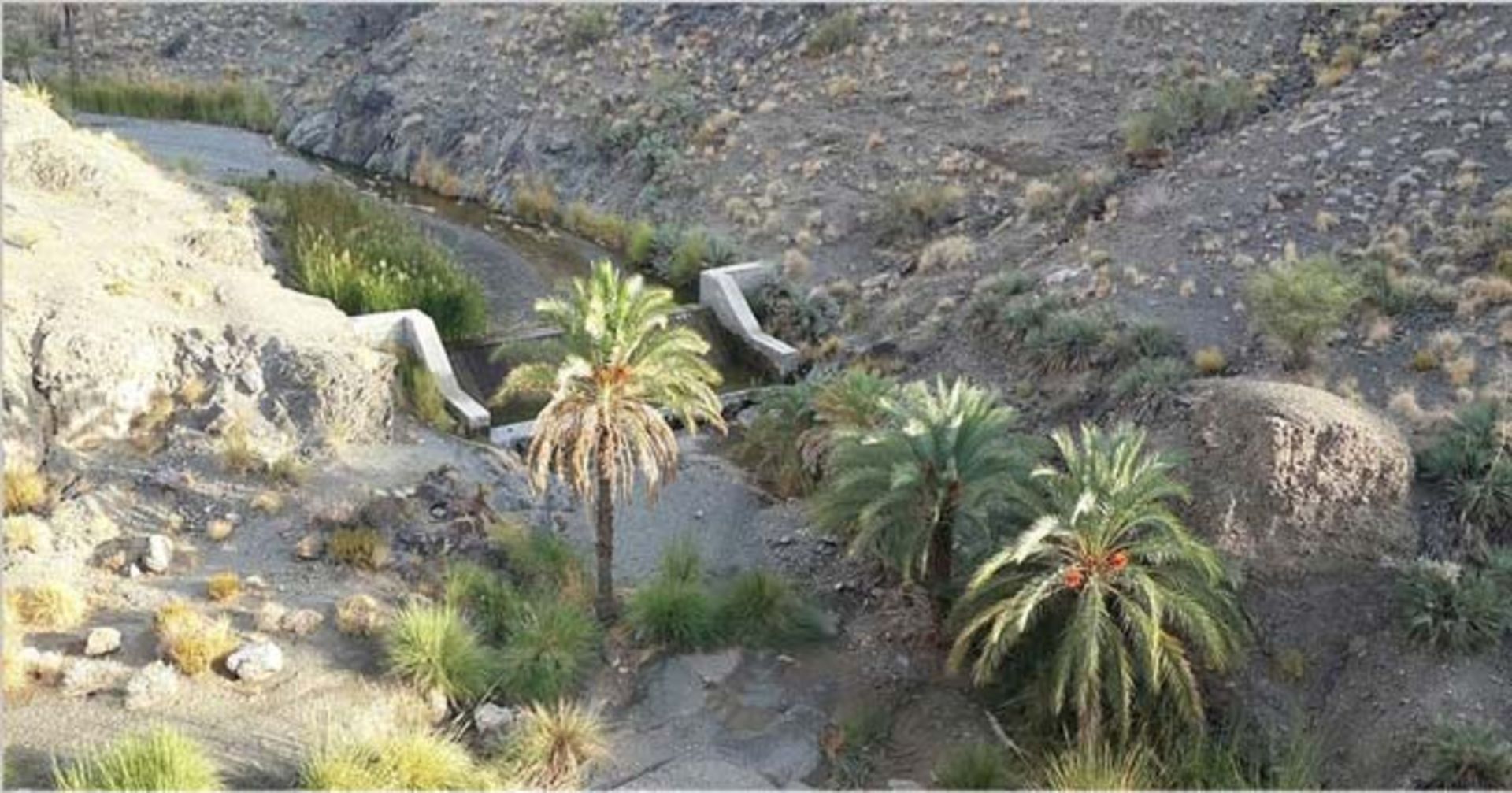 کودچ