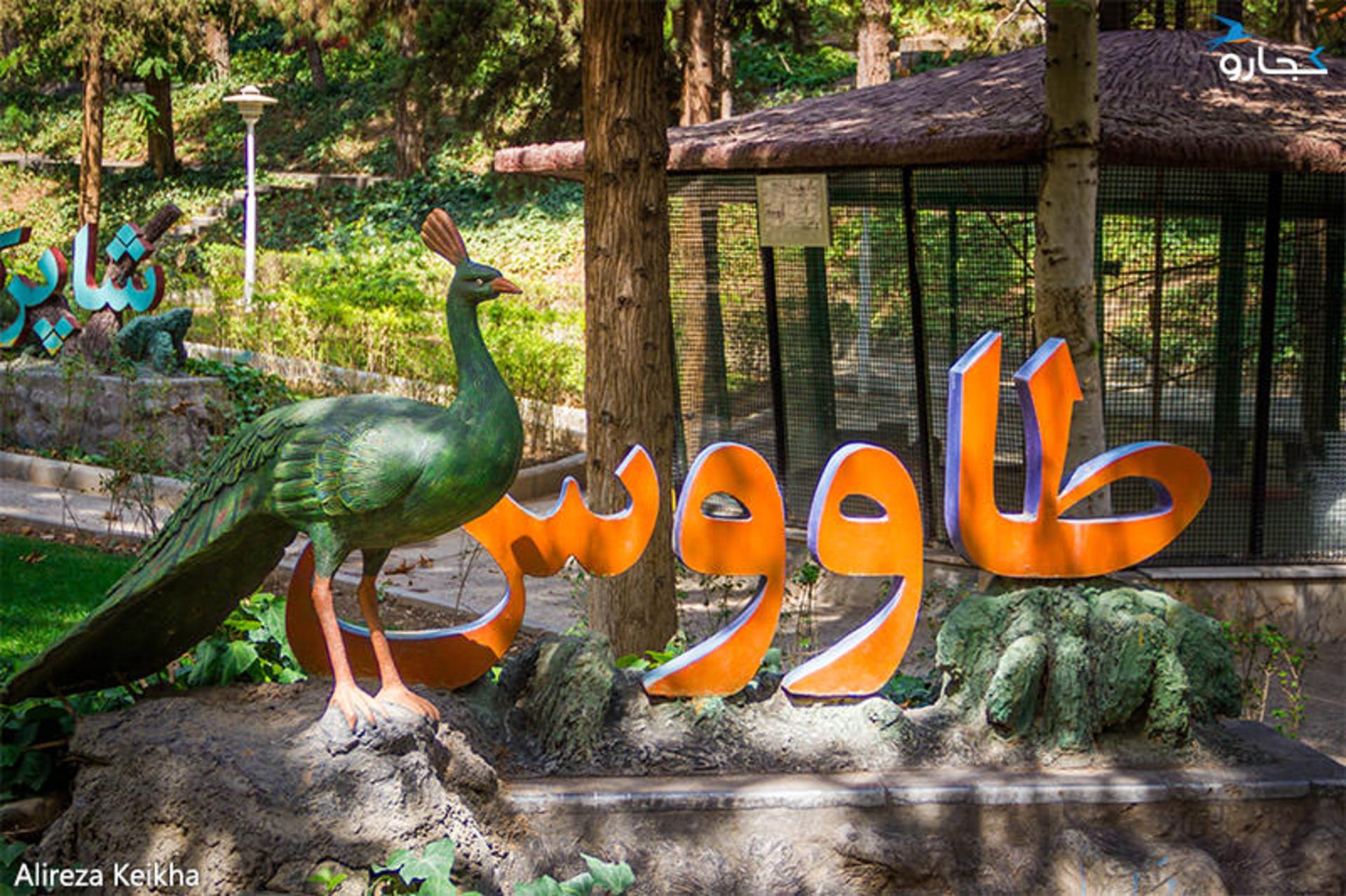 باغ پرندگان پارک ساعی
