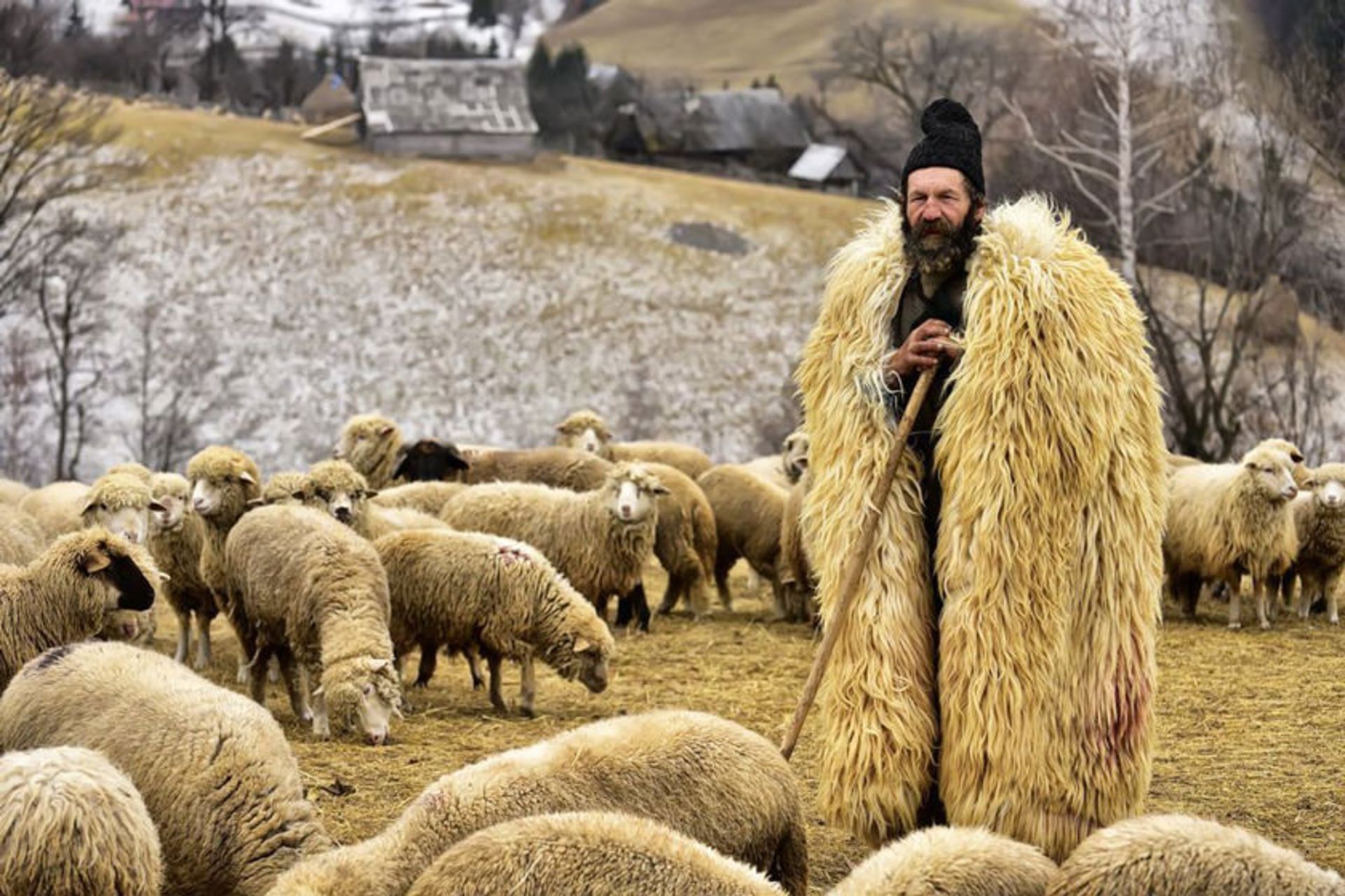 عکس روز نشنال جئوگرافی