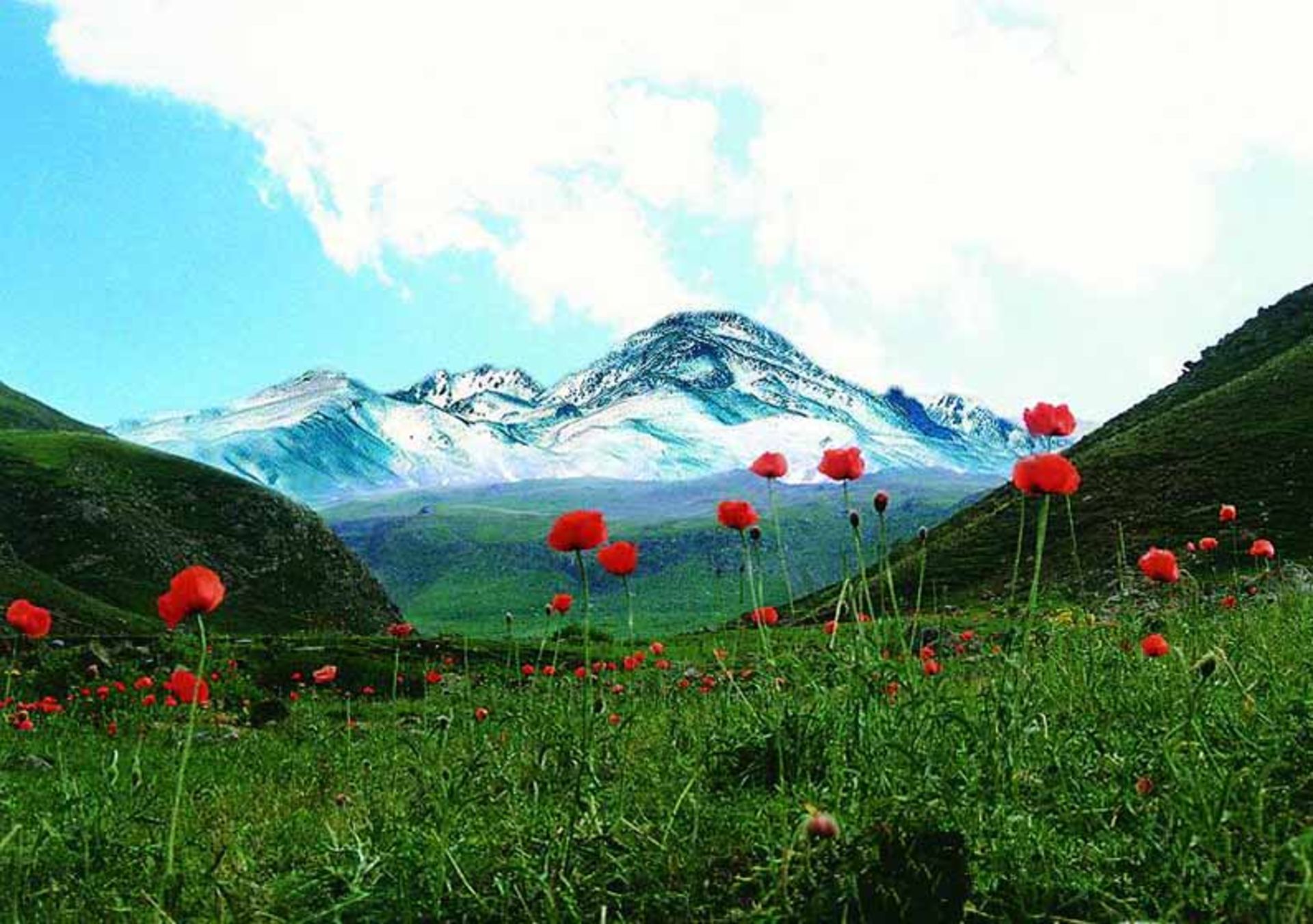 کوه سبلان