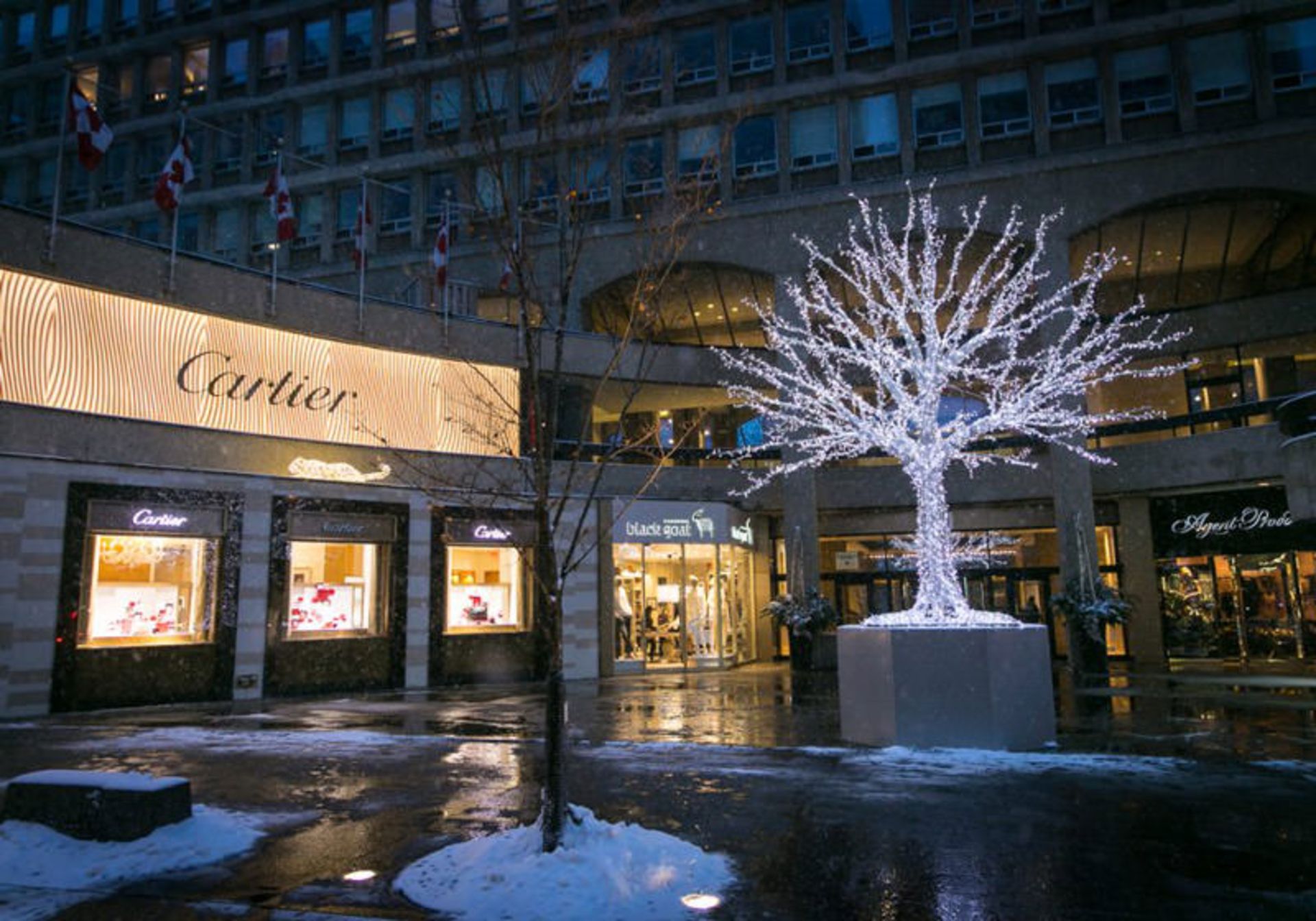 محله Yorkville