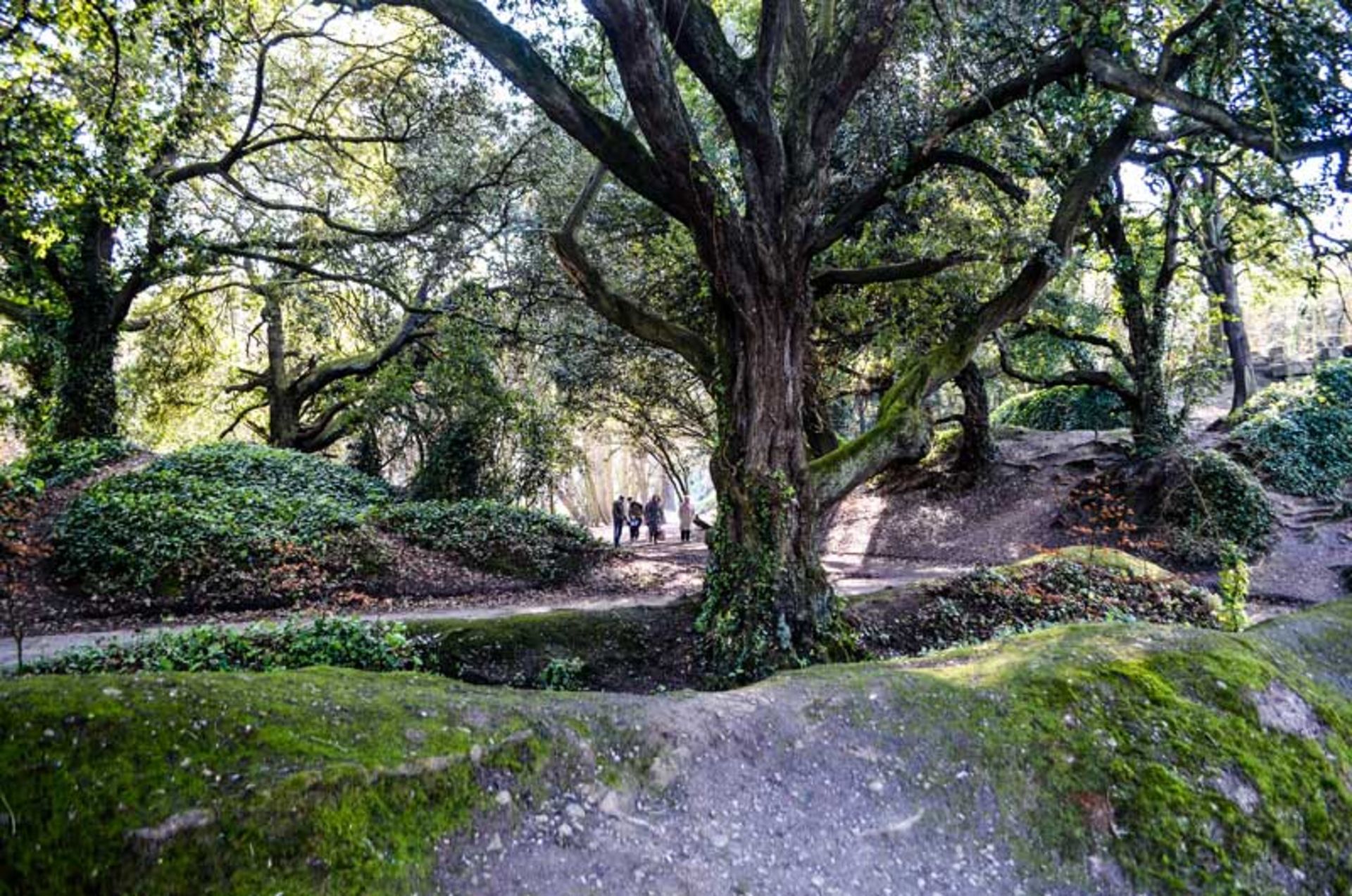پارک سنت آنه (St. Anne's Park)