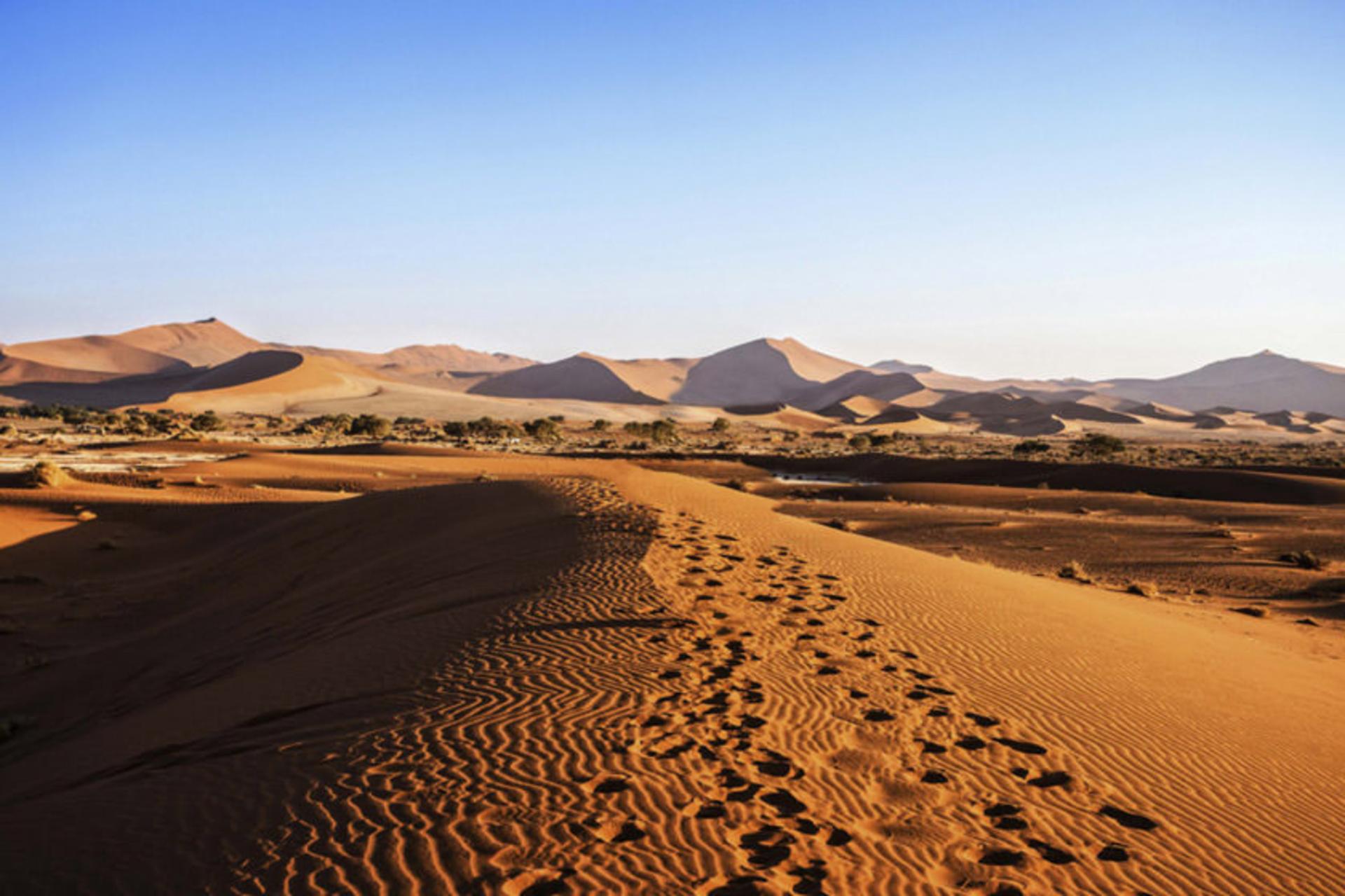 صحرای نامیب