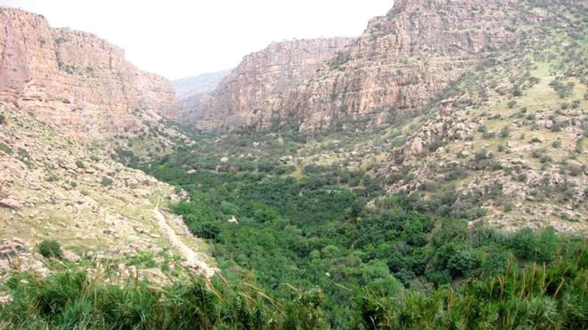 روستا ناو تنگ منصوری