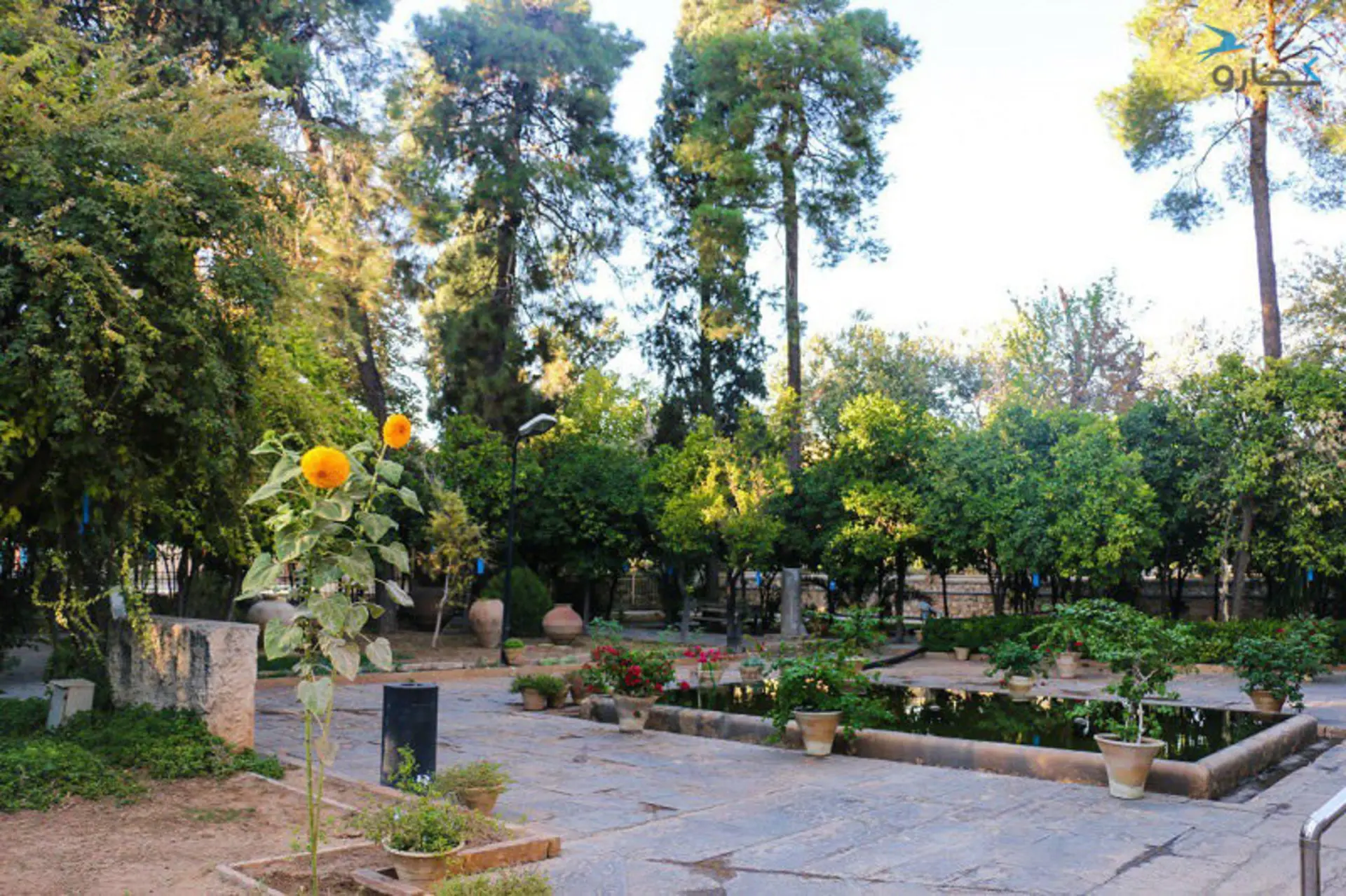 موزه پارس شیراز
