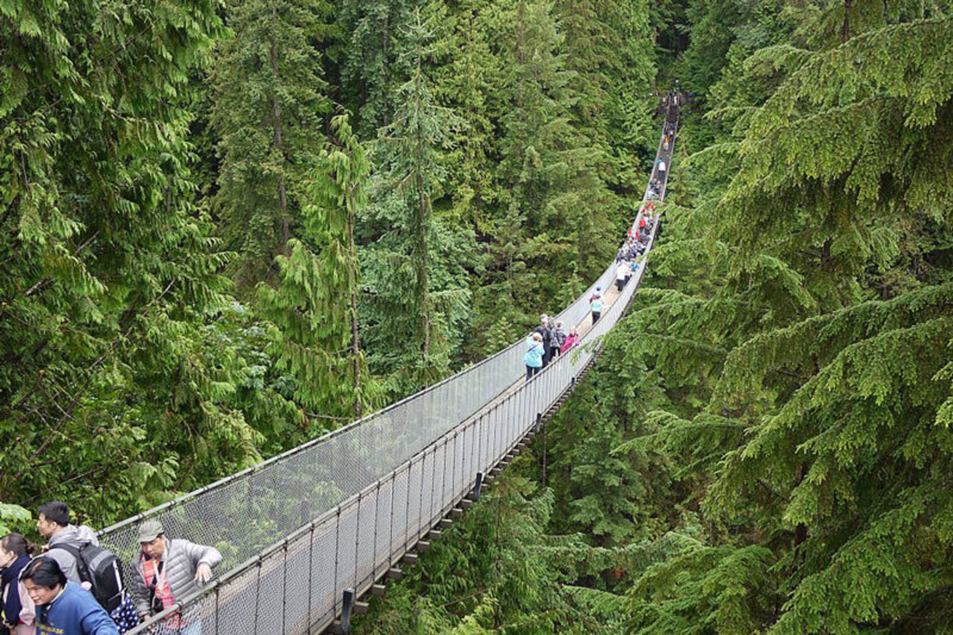 پل معلق Capilano