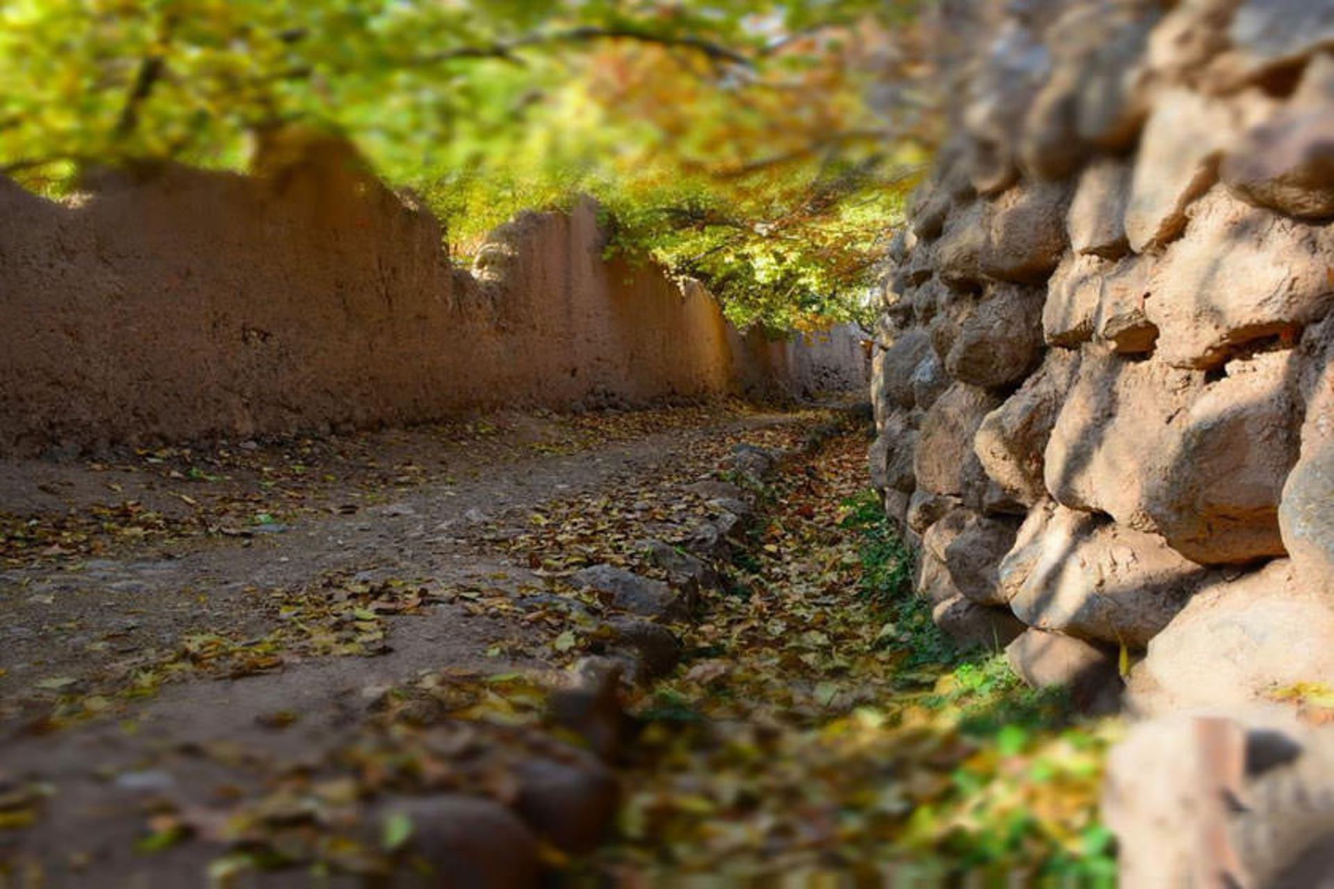 استان مرکزی
