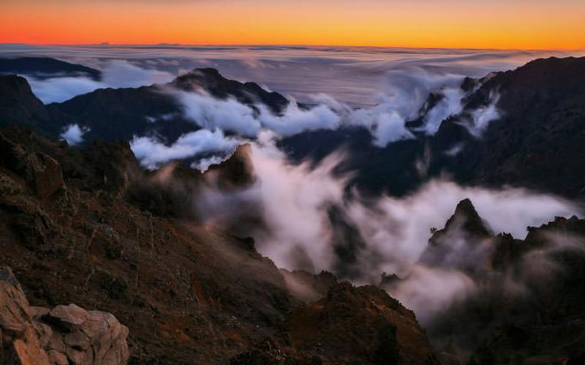 تماشای ستارگان 