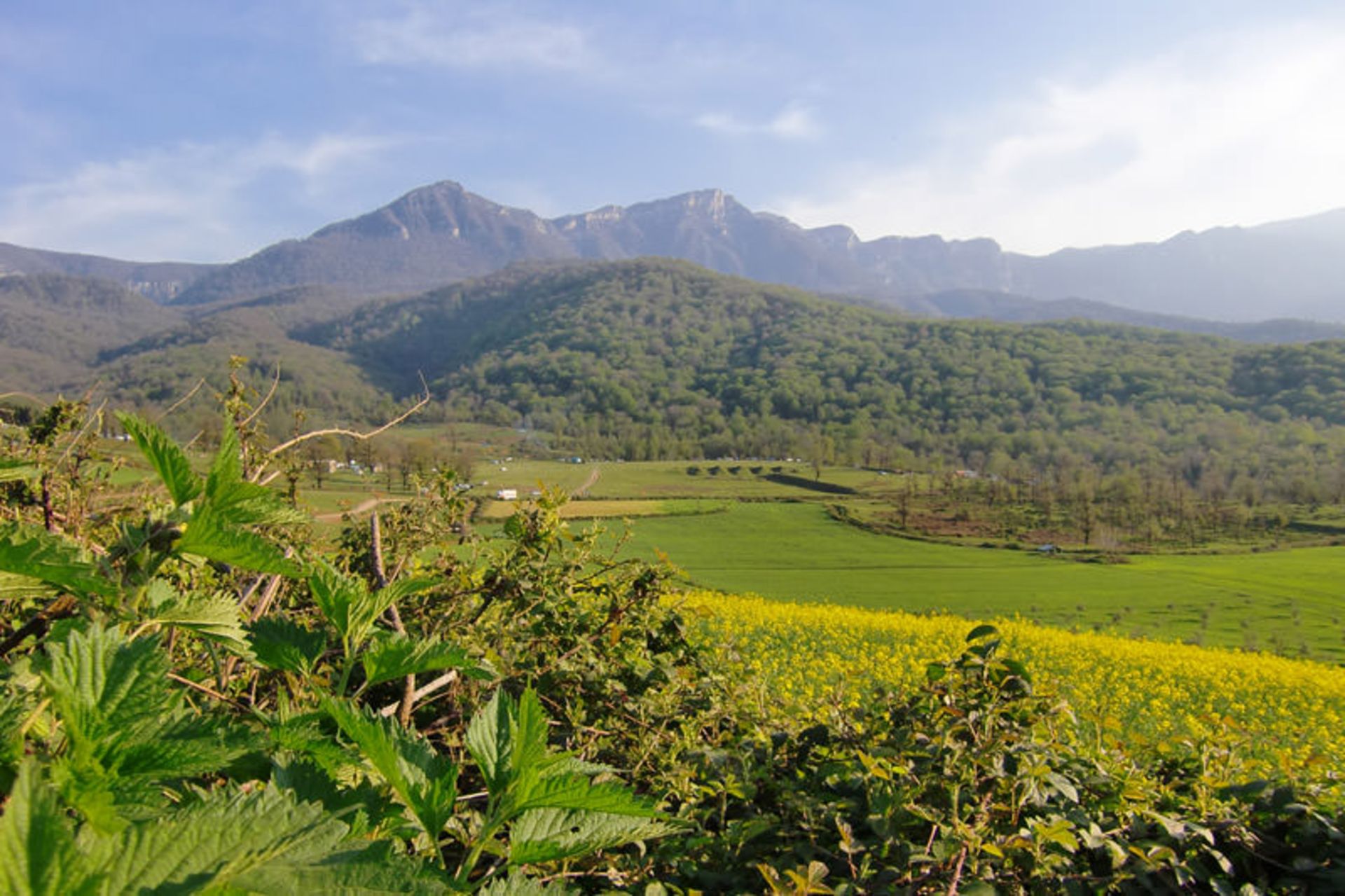 طبیعت گرگان