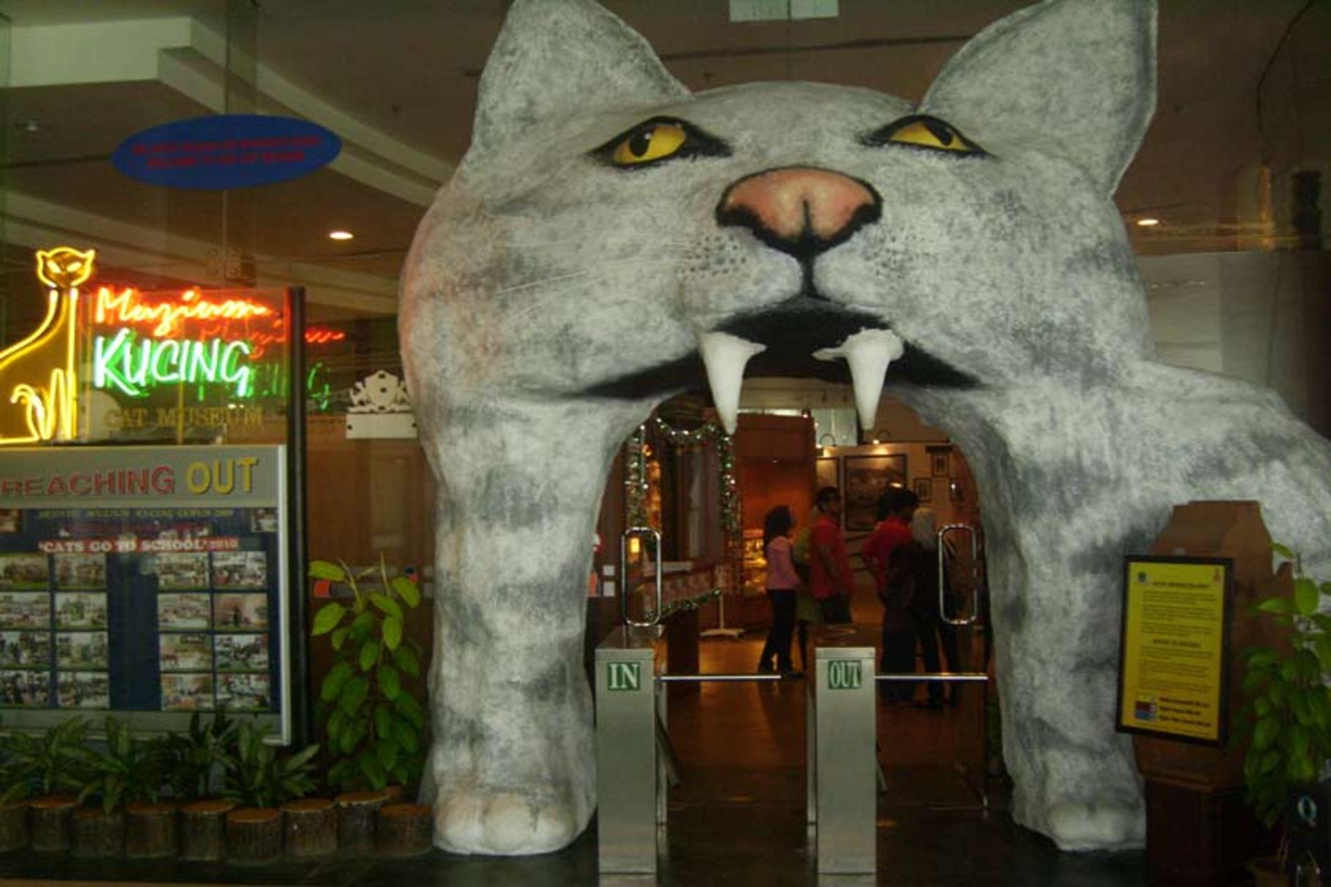 موزه گربه کوچینگ
