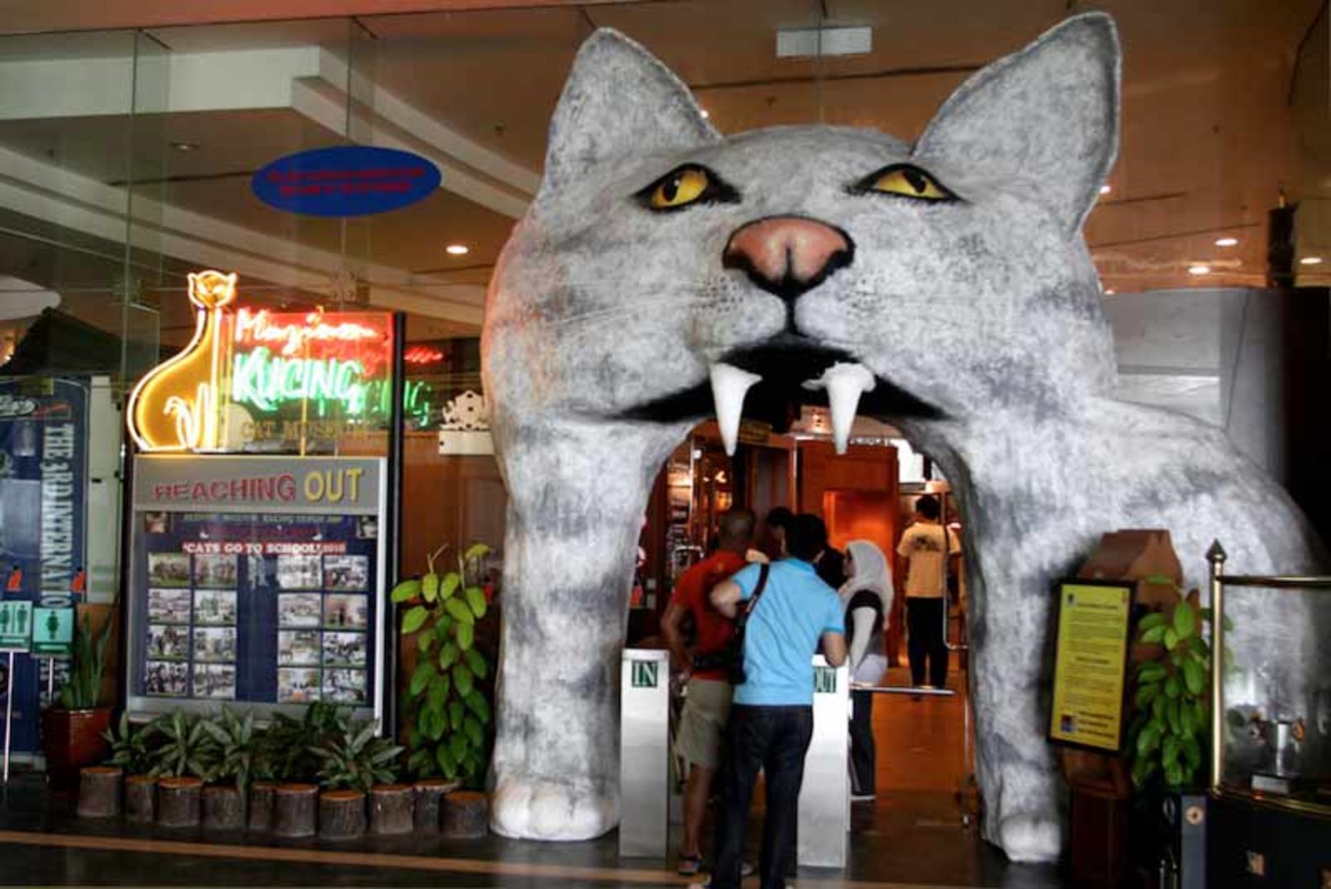 موزه گربه کوچینگ