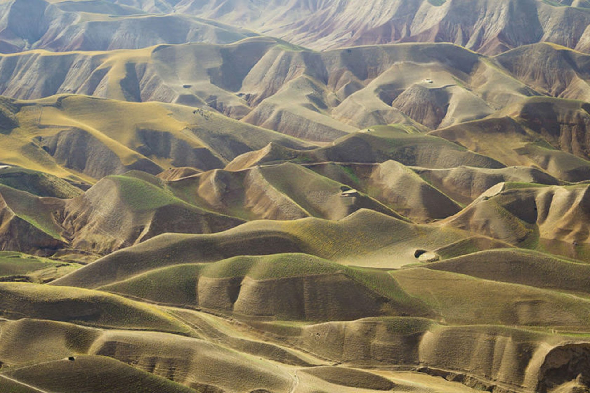 افغانستان 