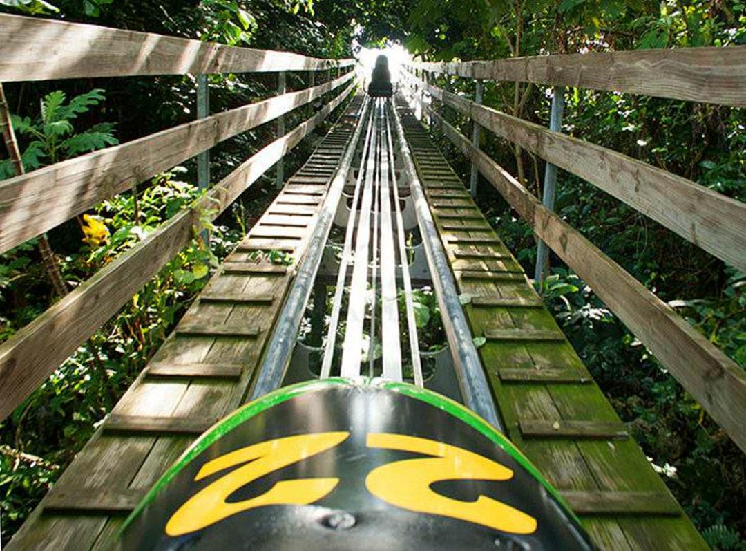 جنگل بارانی Bobsled