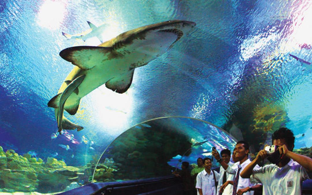 آکواریم مرکزی مالزی (Aquaria KLCC)