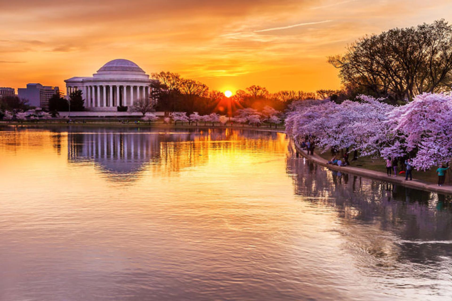 آبگیر تیدال (Tidal Basin)